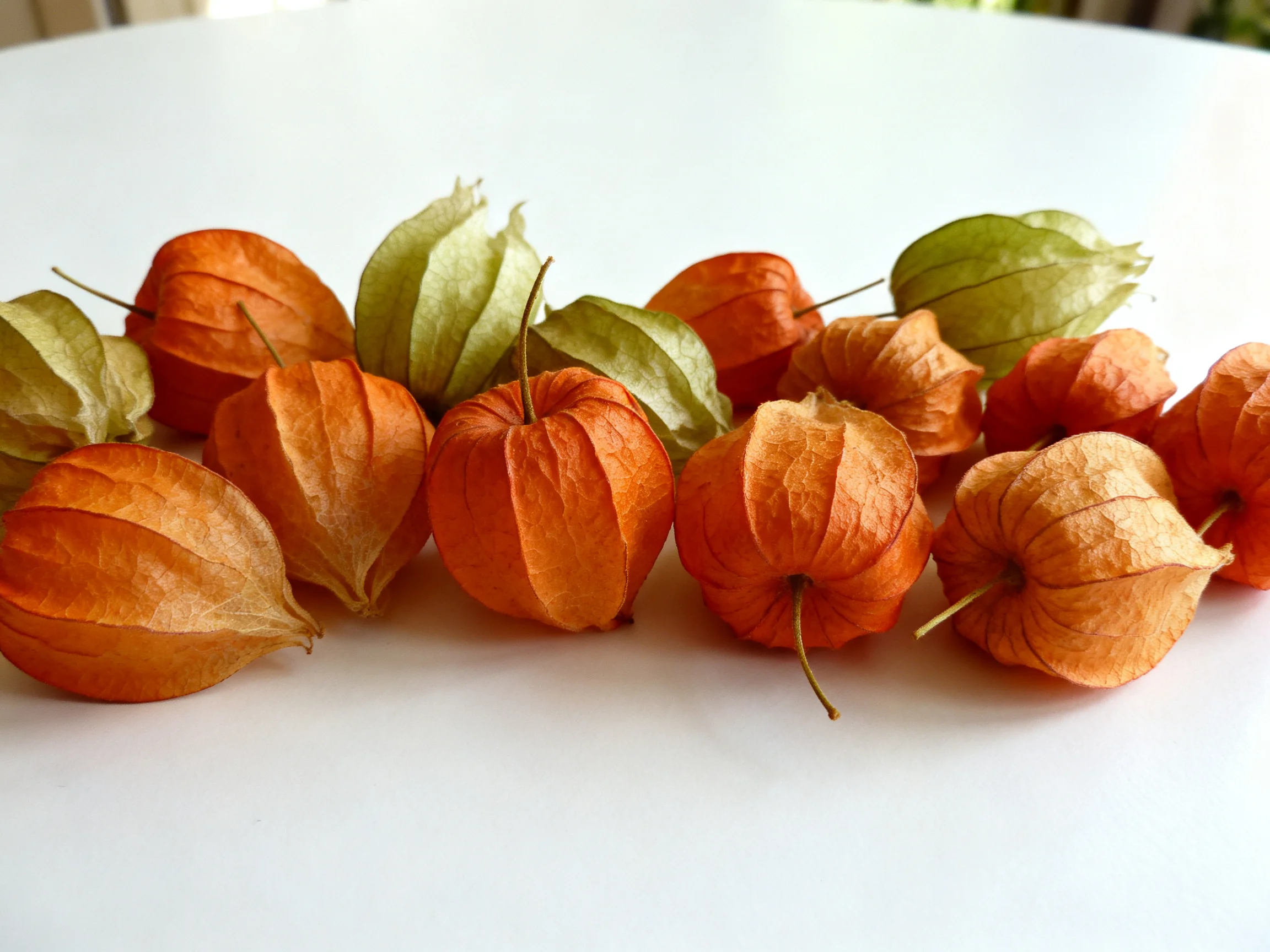 A group of orange and green physalis fruits arranged on a white surface