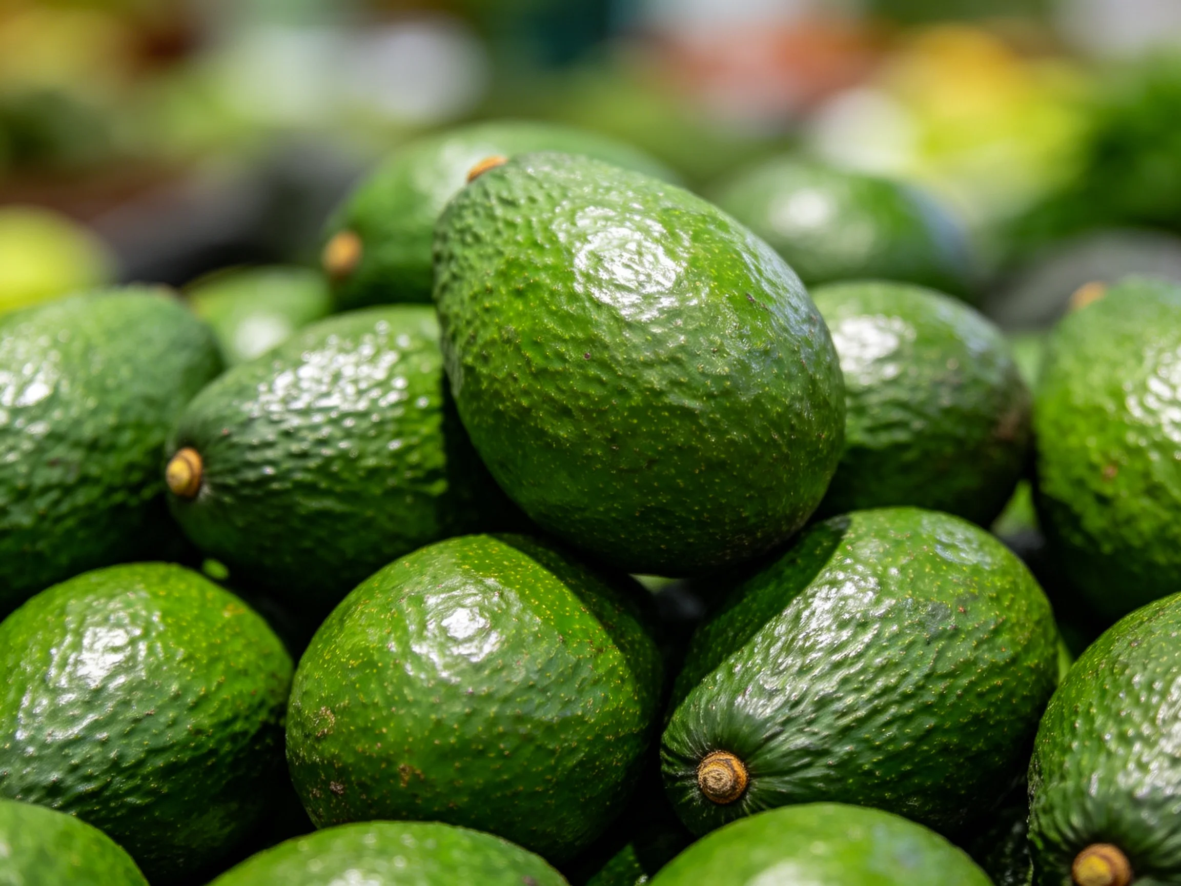 A large pile of fresh green avocados with rough skins