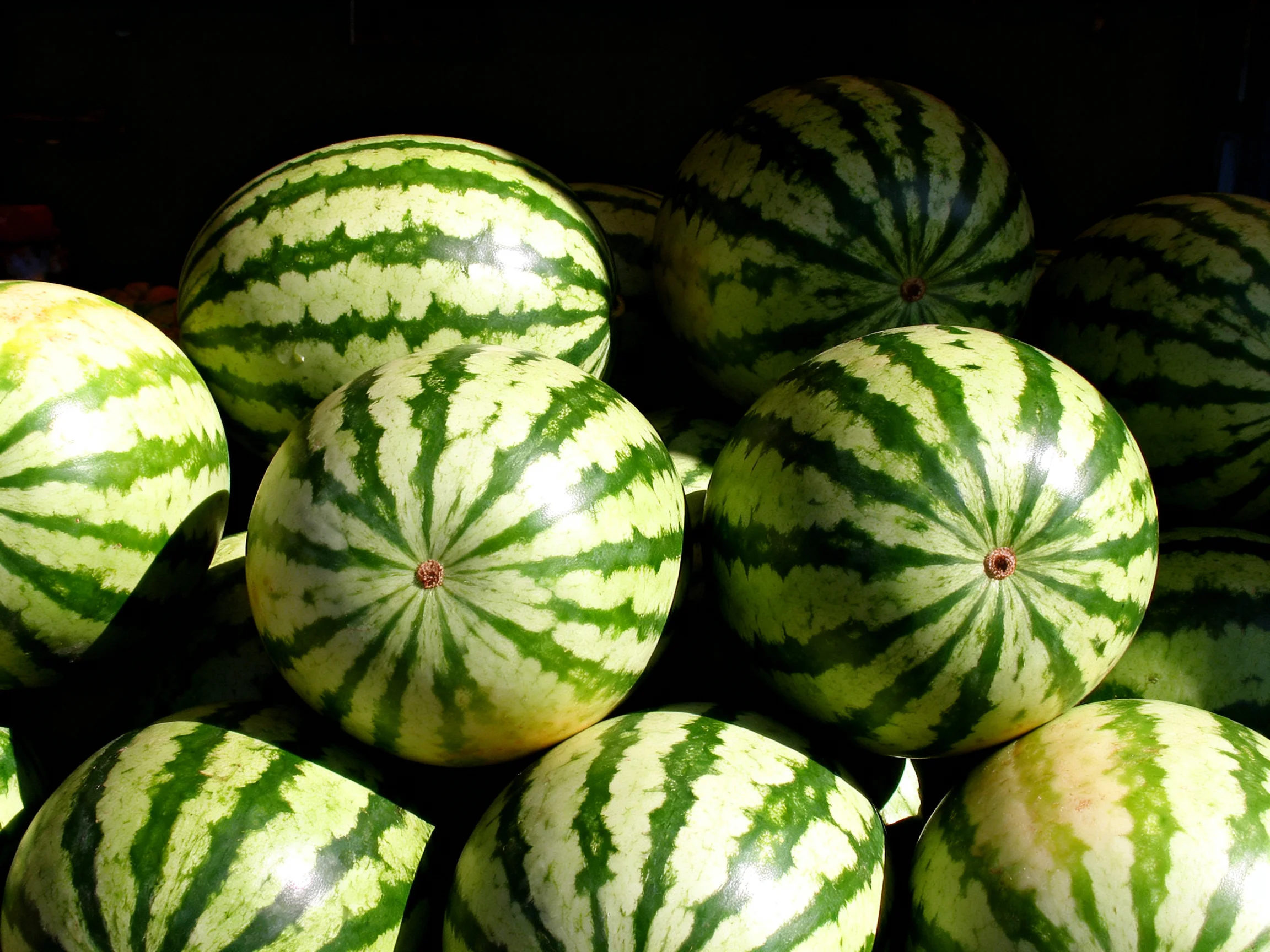 A large pile of round watermelons with green and white striped patterns