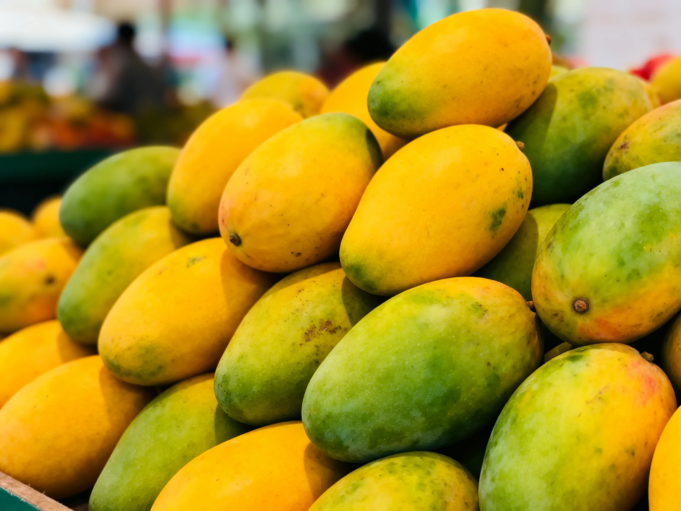 A large pile of yellow and green mangoes displayed at a market
