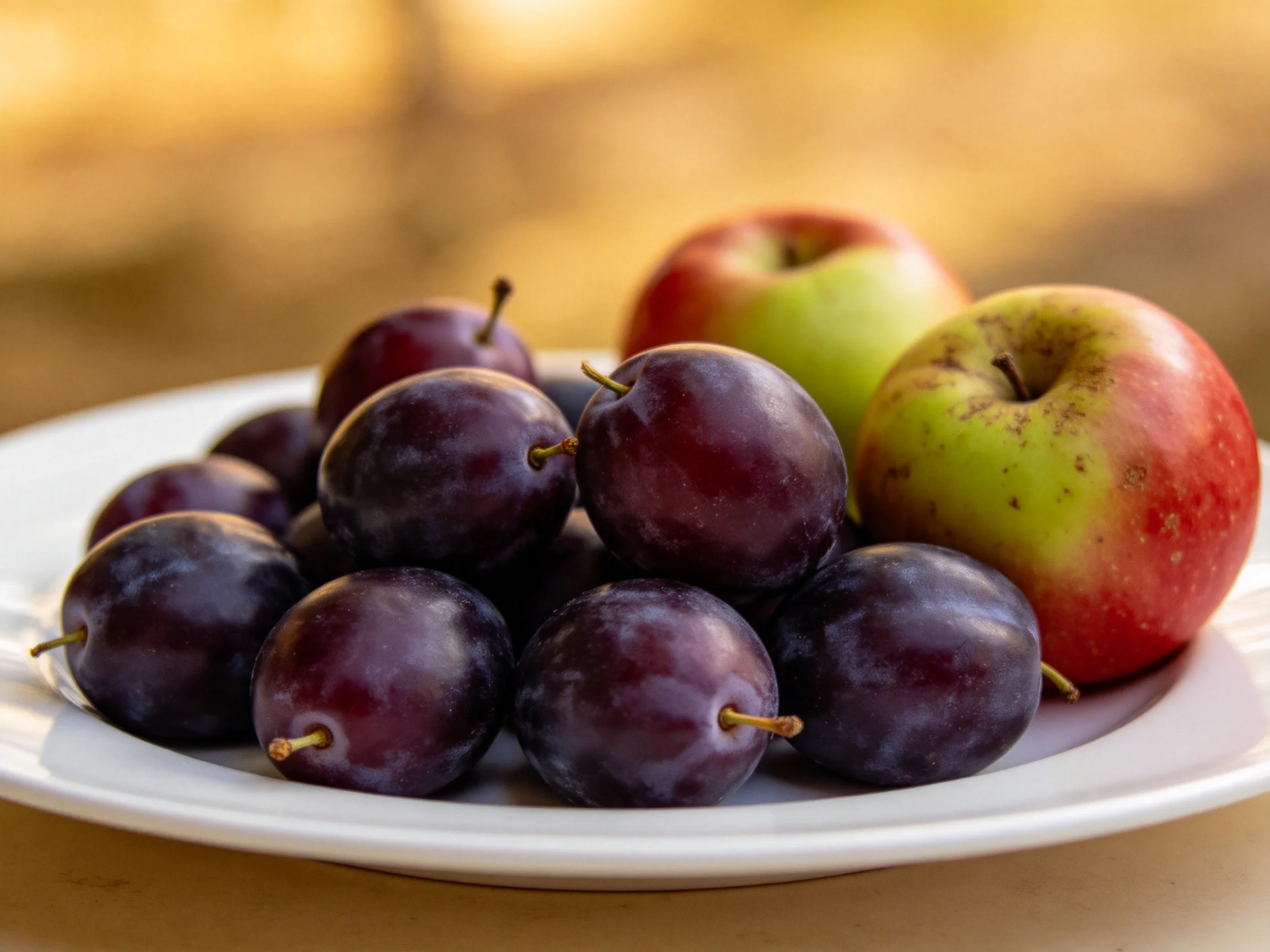 A plate of deep purple plums with two multicolored apples