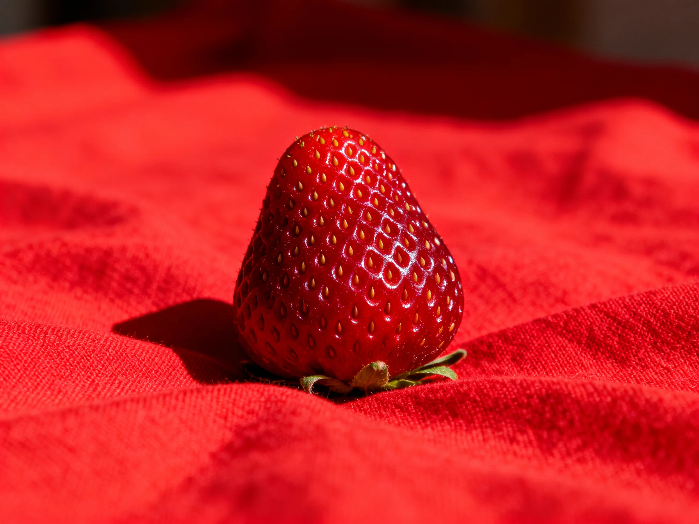 A single glossy strawberry sits on a vibrant red fabric