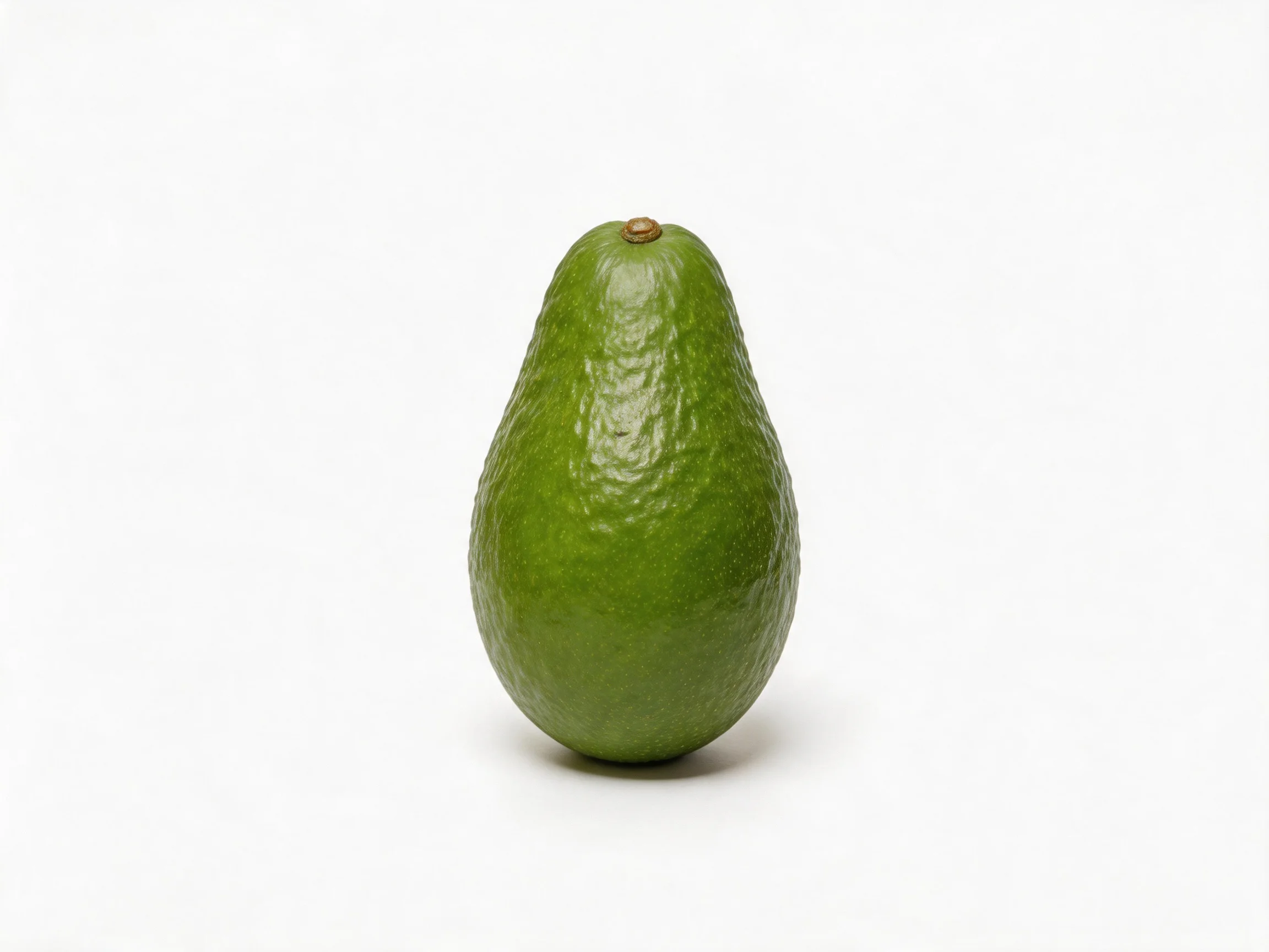 A single green avocado with textured skin centered on a white backdrop