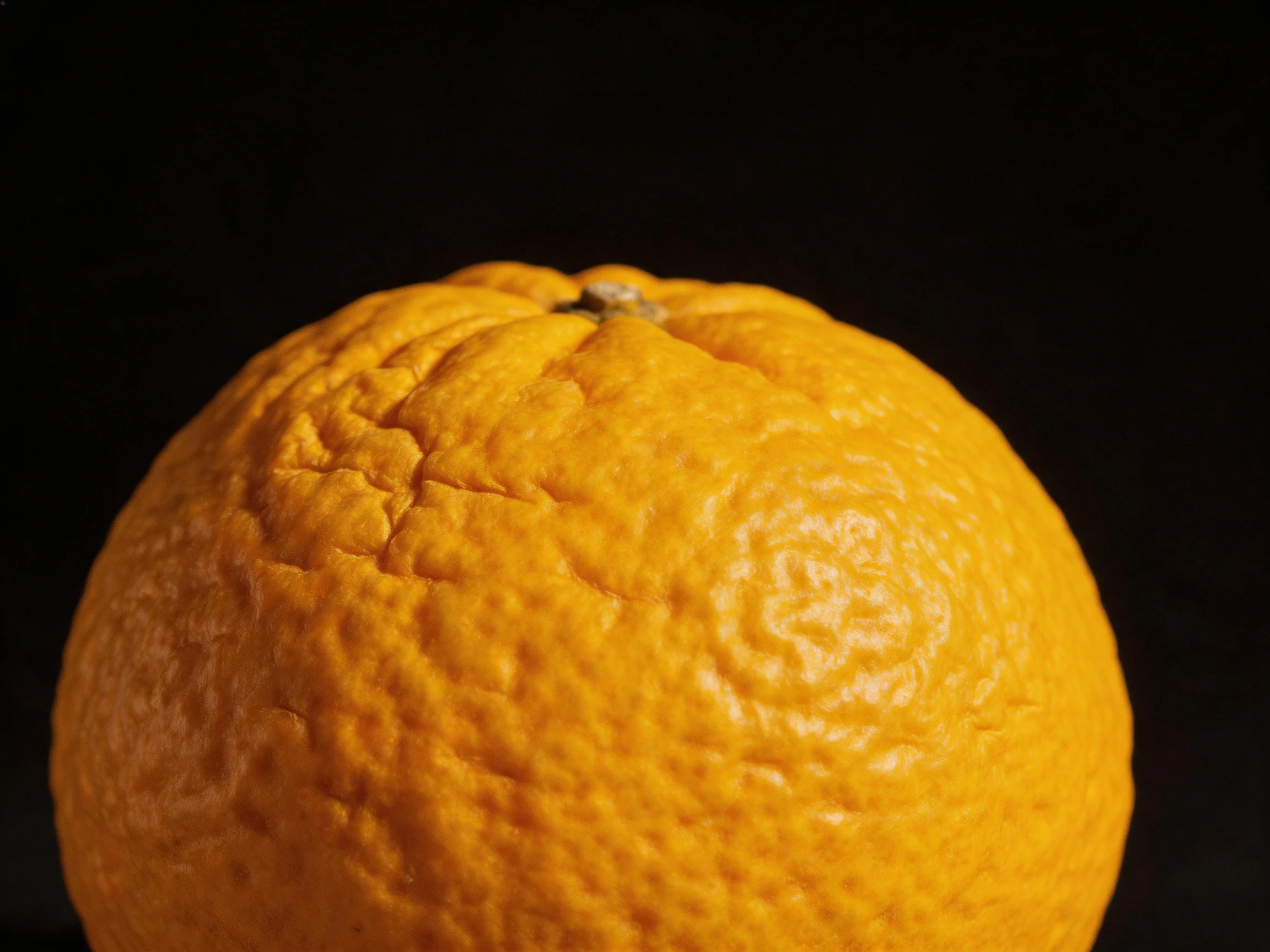 A vibrant orange fruit with textured, dimpled peel
