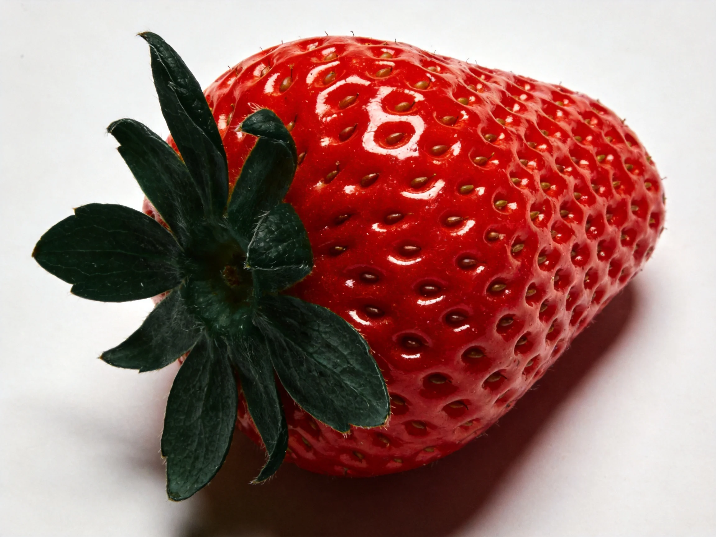 A vibrant red strawberry with glossy skin and dark green foliage