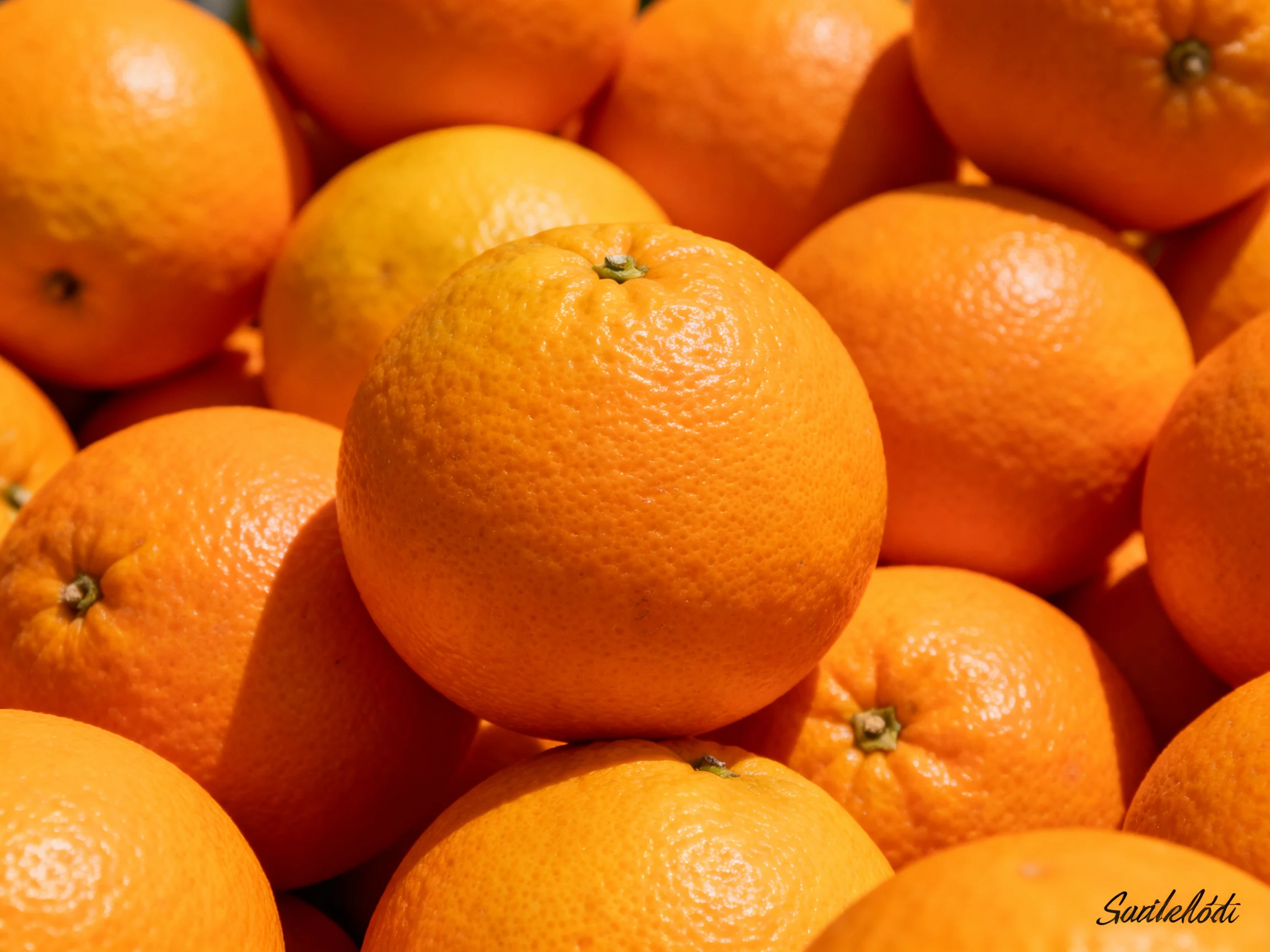 Abundant pile of numerous bright orange citrus fruits