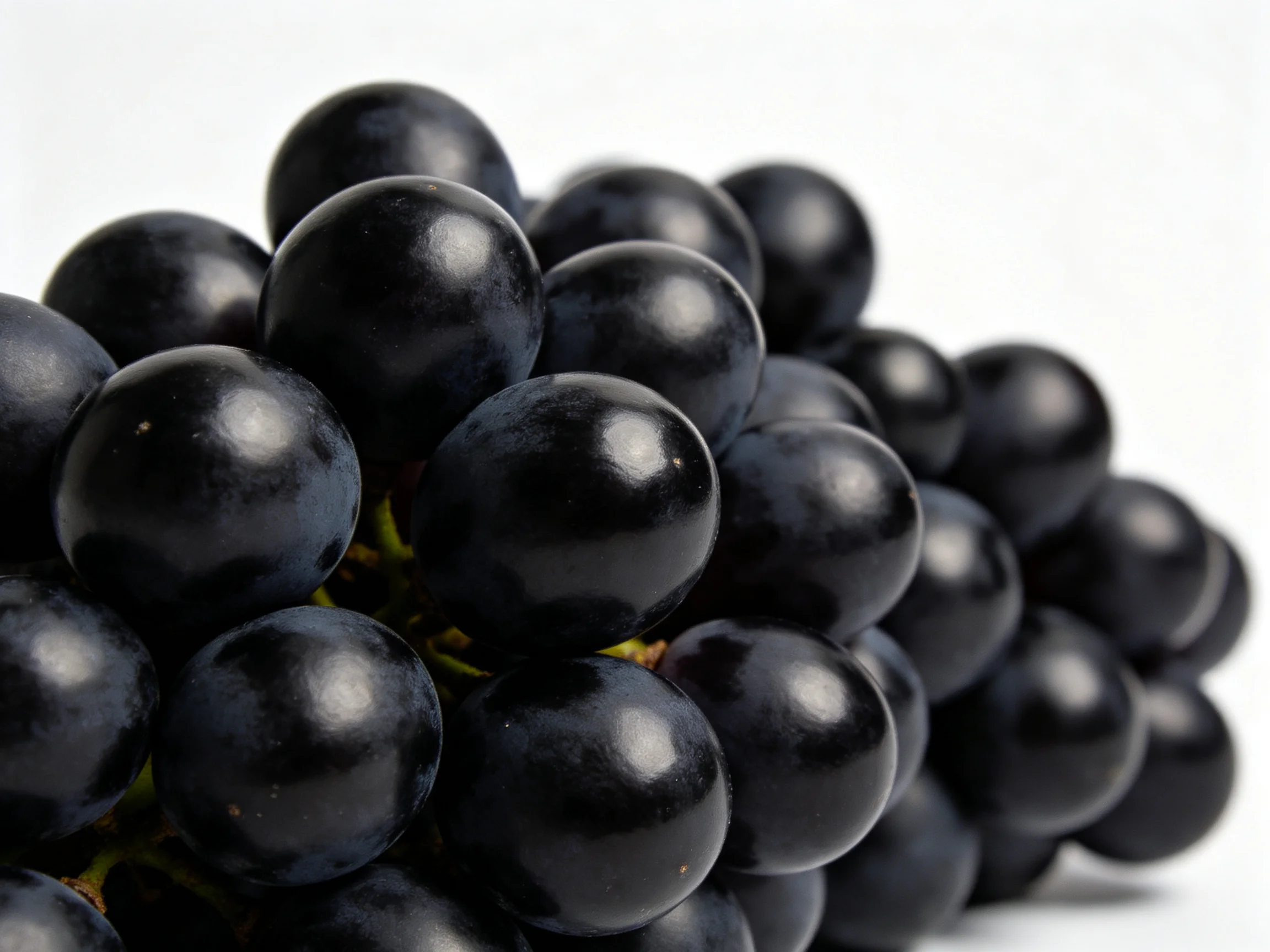 Dense cluster of glossy dark purple grapes with rounded forms