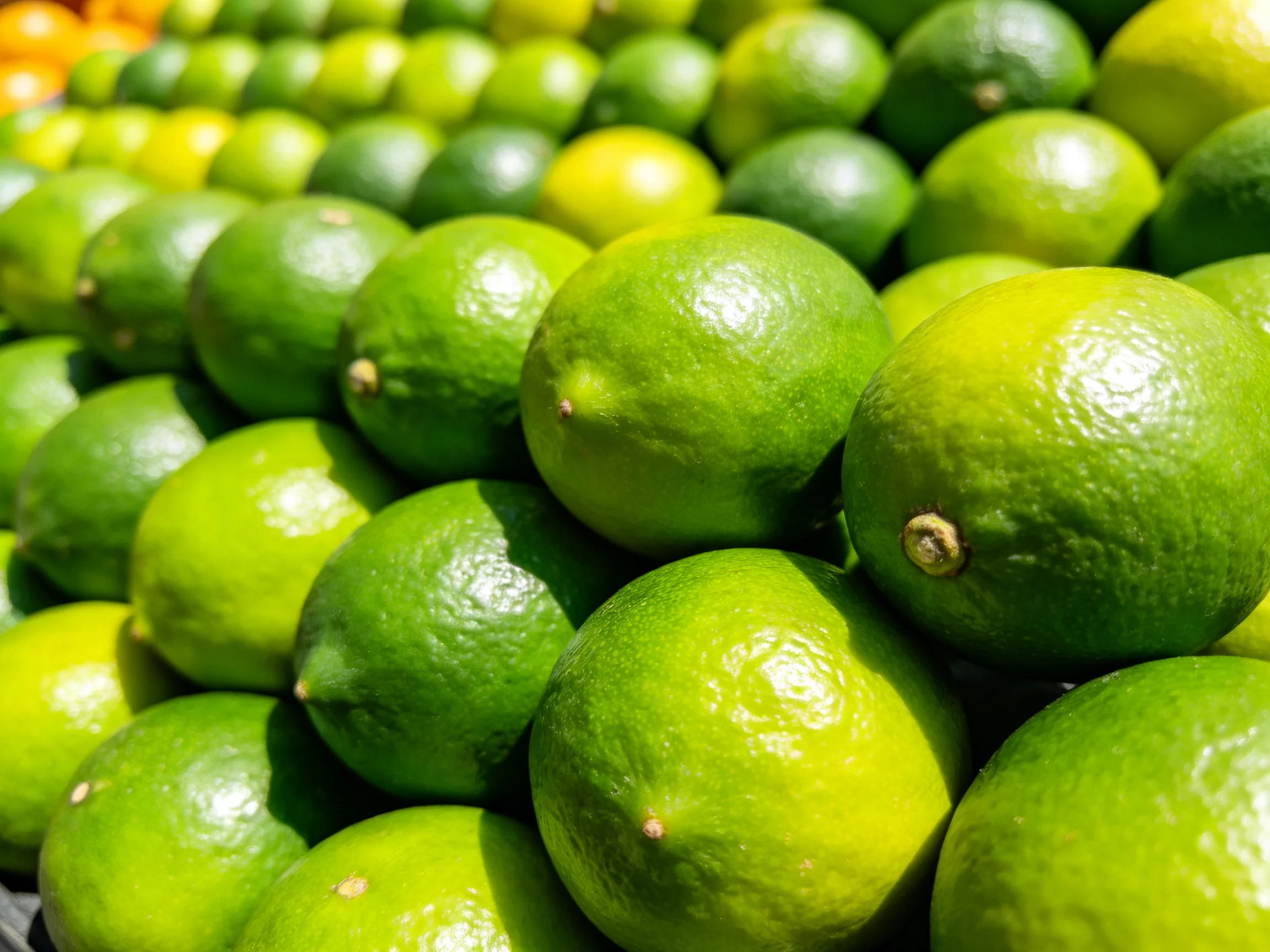 Dense cluster of vibrant green limes in multiple rows