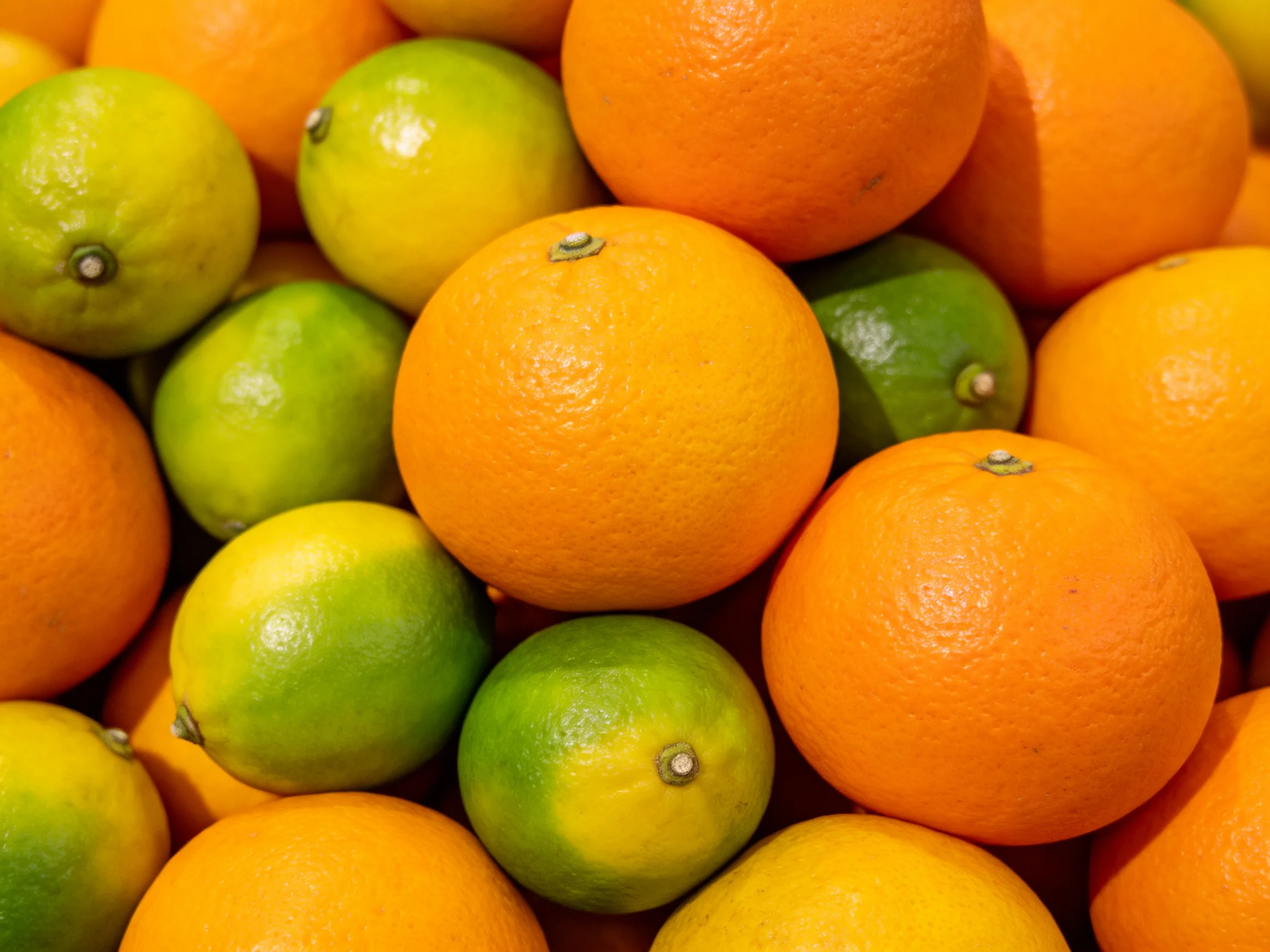 Fresh oranges and limes arranged in a colorful display