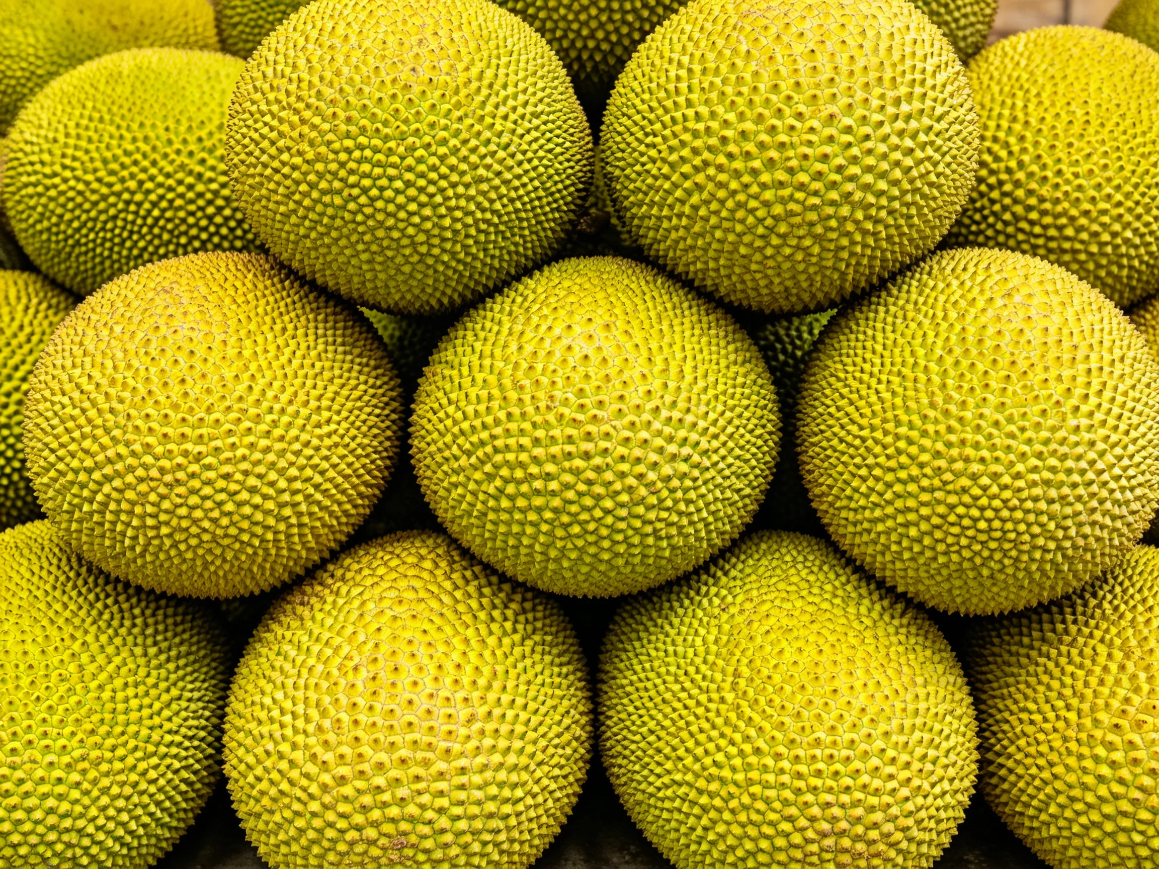 Many round green jackfruits stacked in a pyramid formation