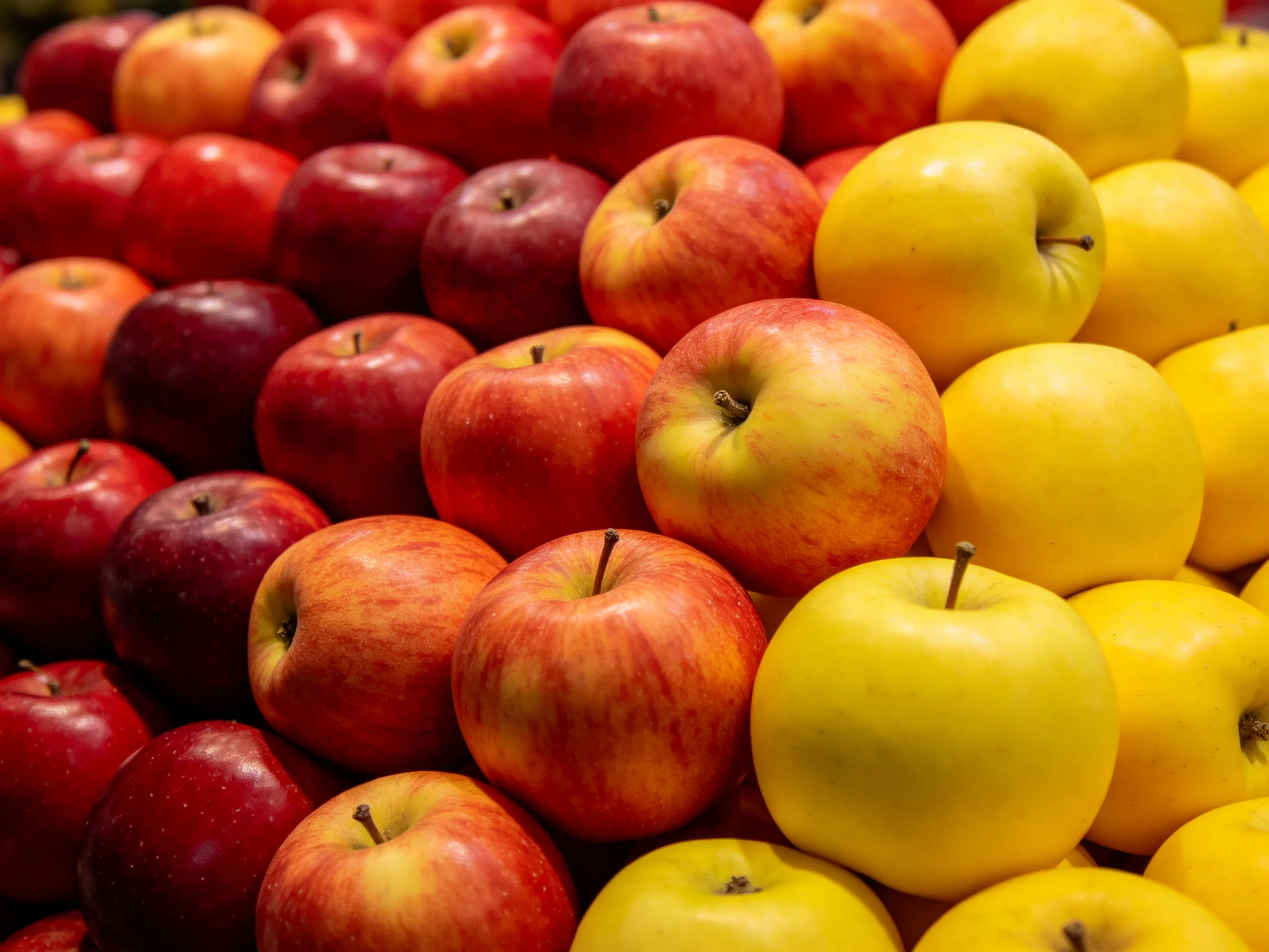 Neat stacks of colorful apples in reds and yellows