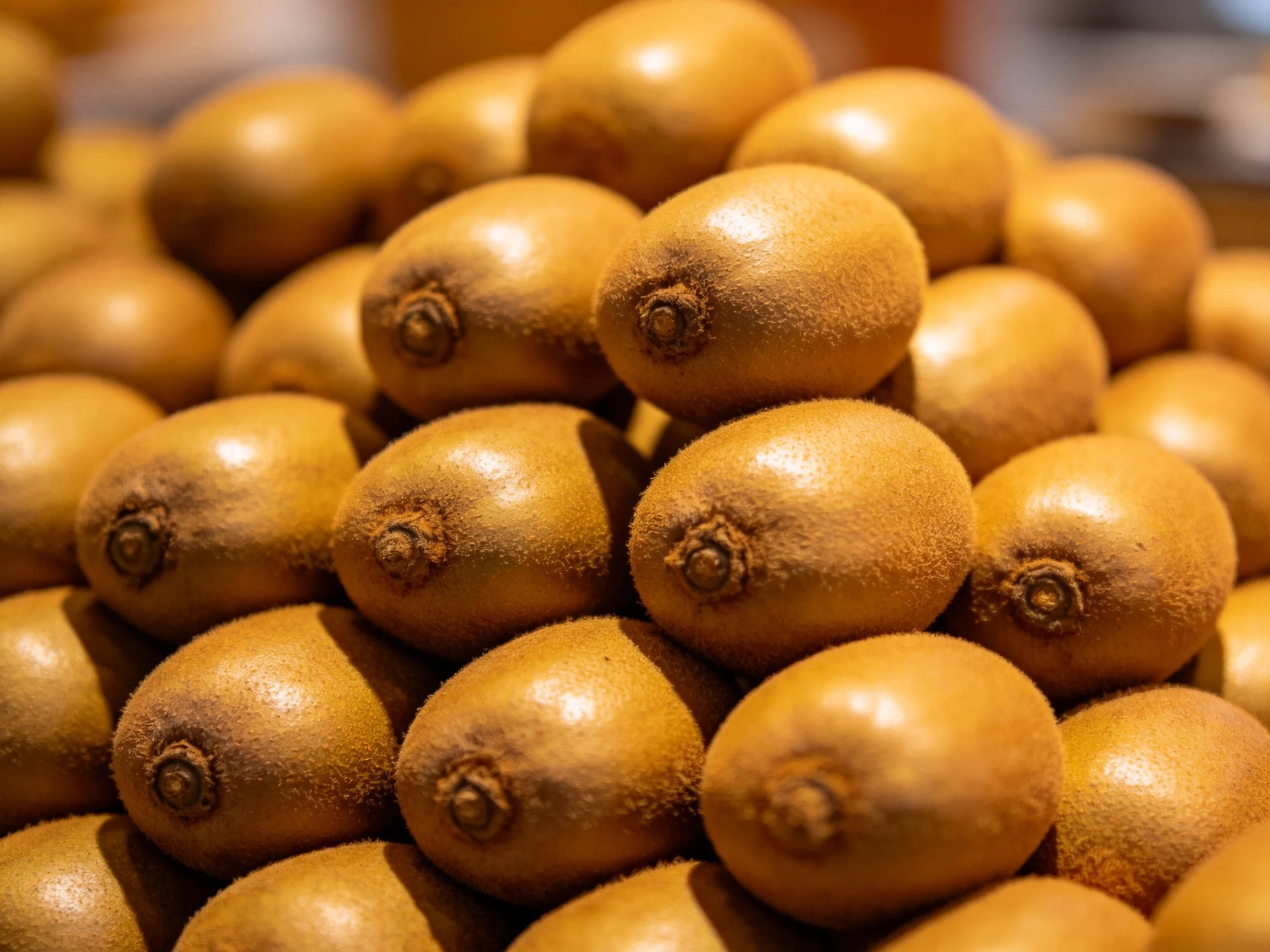 Numerous golden-brown kiwis stacked densely in a pile
