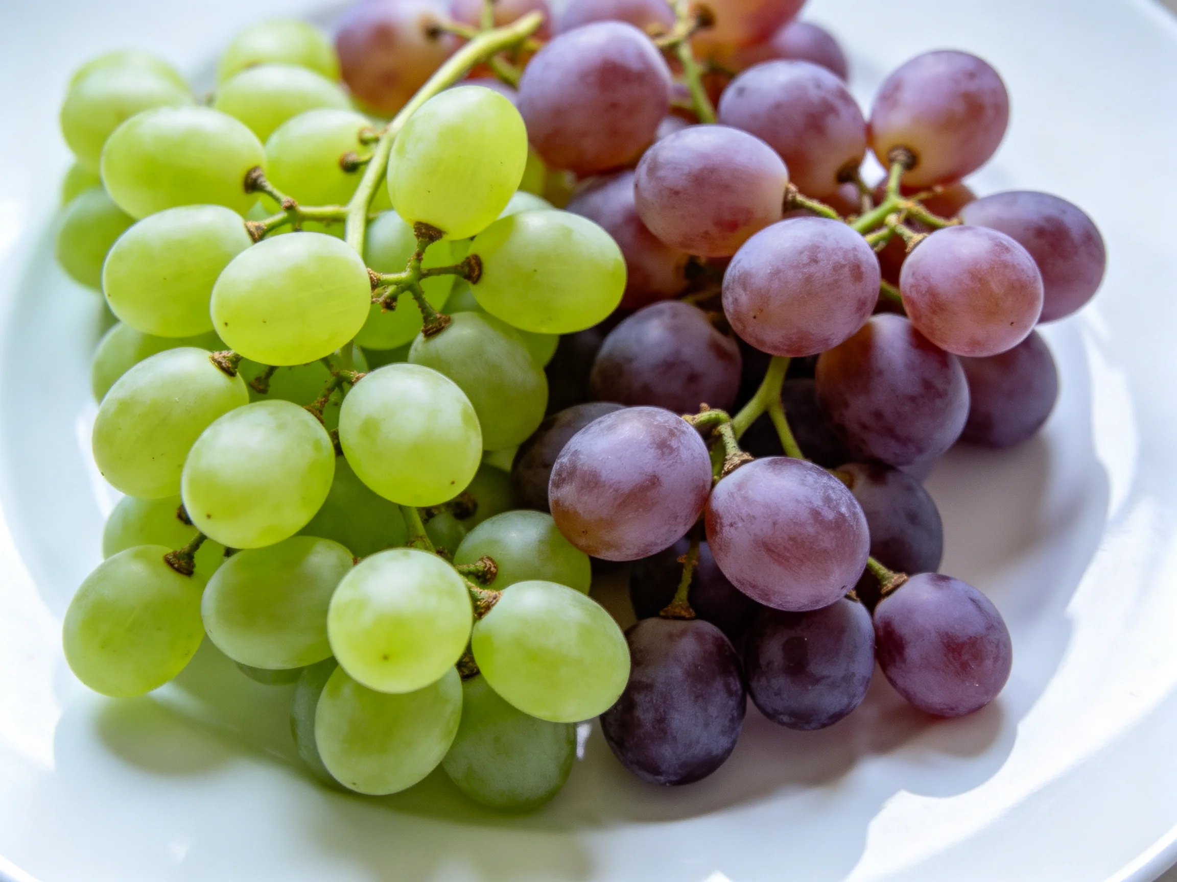 Two clusters of fresh green and purple grapes on a white plate