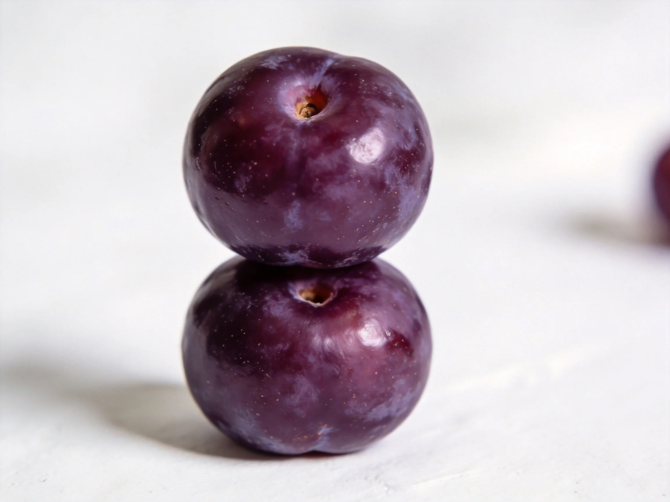 Two glossy dark purple plums stacked vertically
