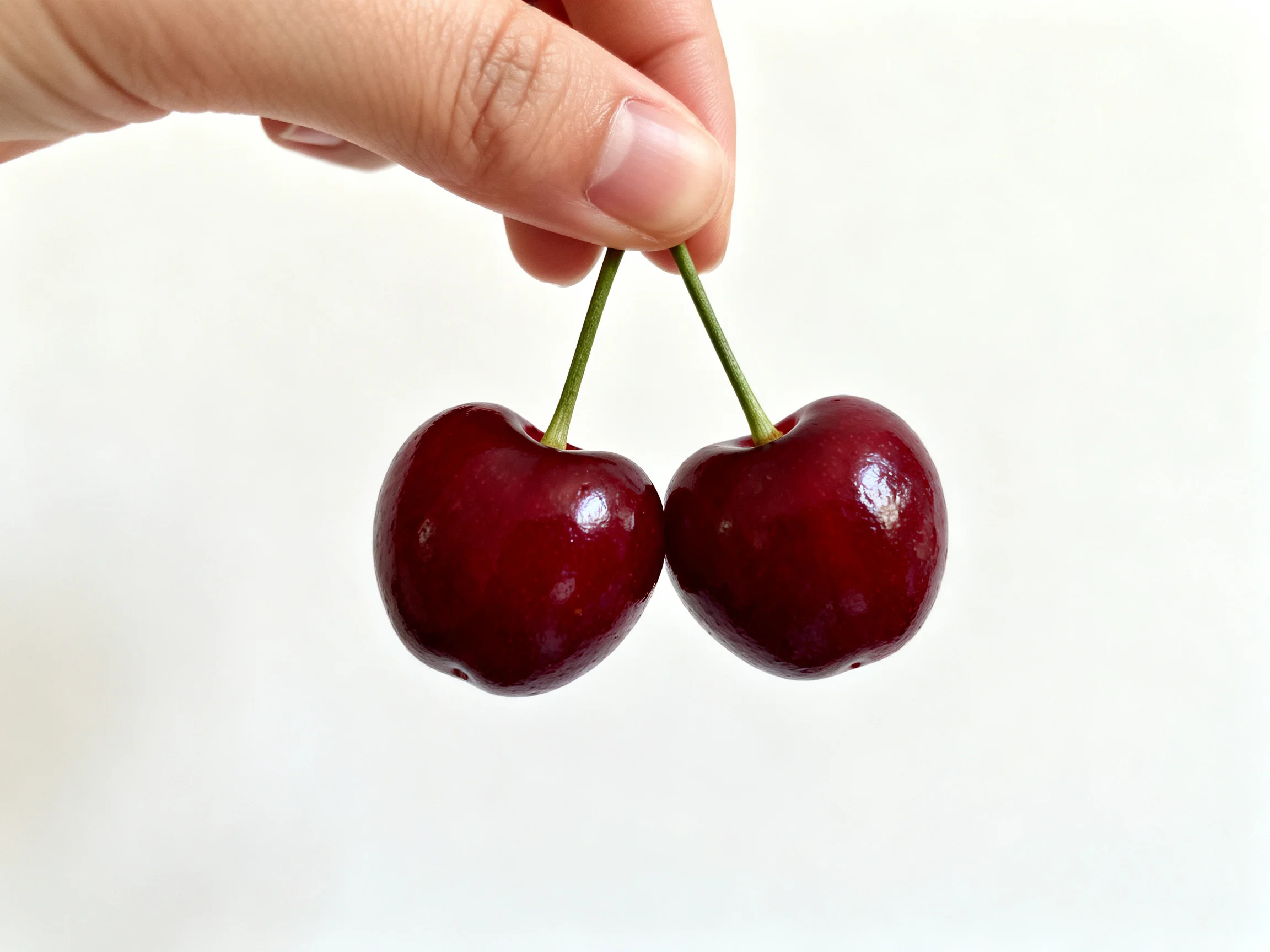 Two glossy deep red cherries held by a hand
