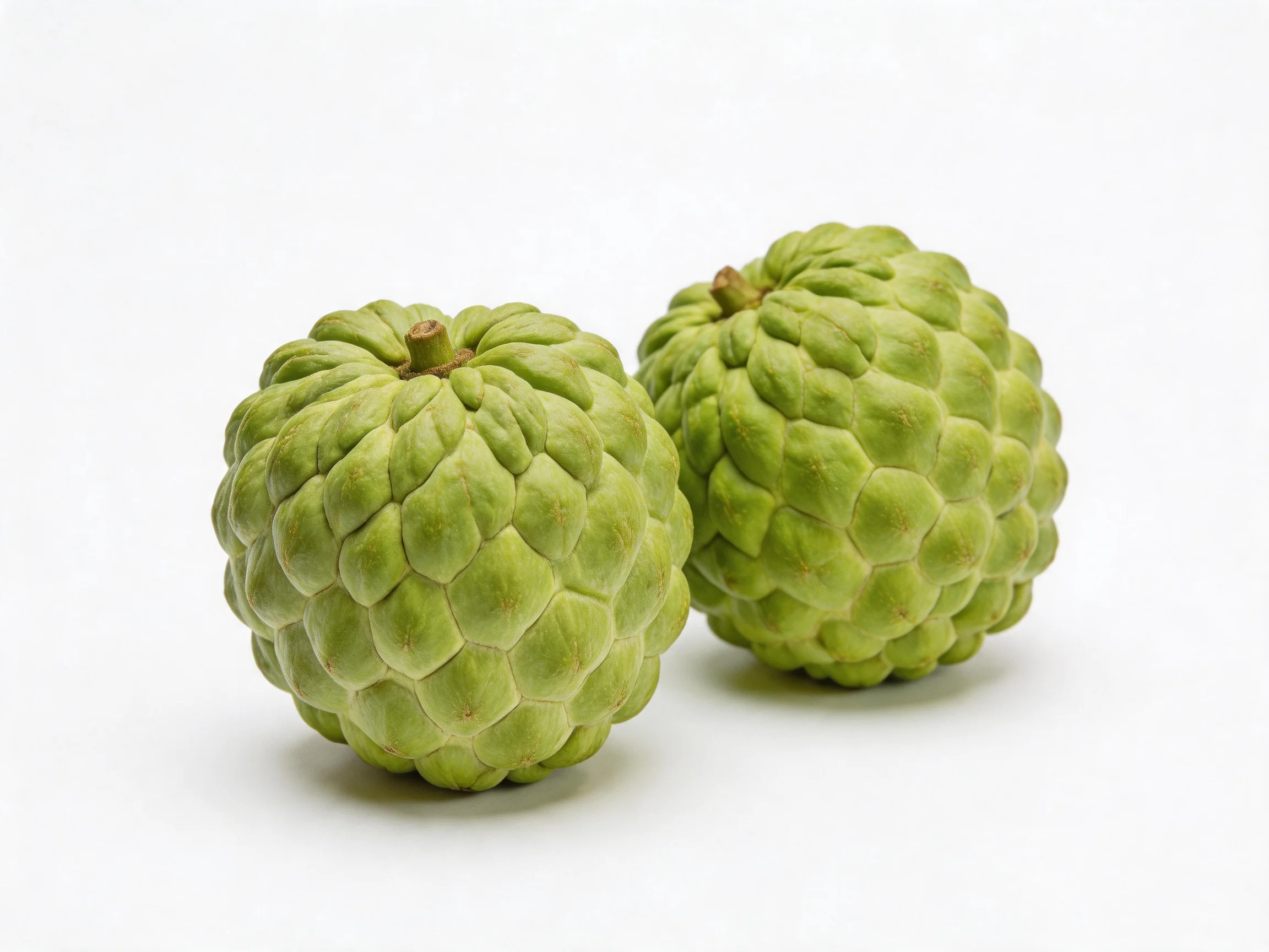 Two green custard apples with textured exteriors on white
