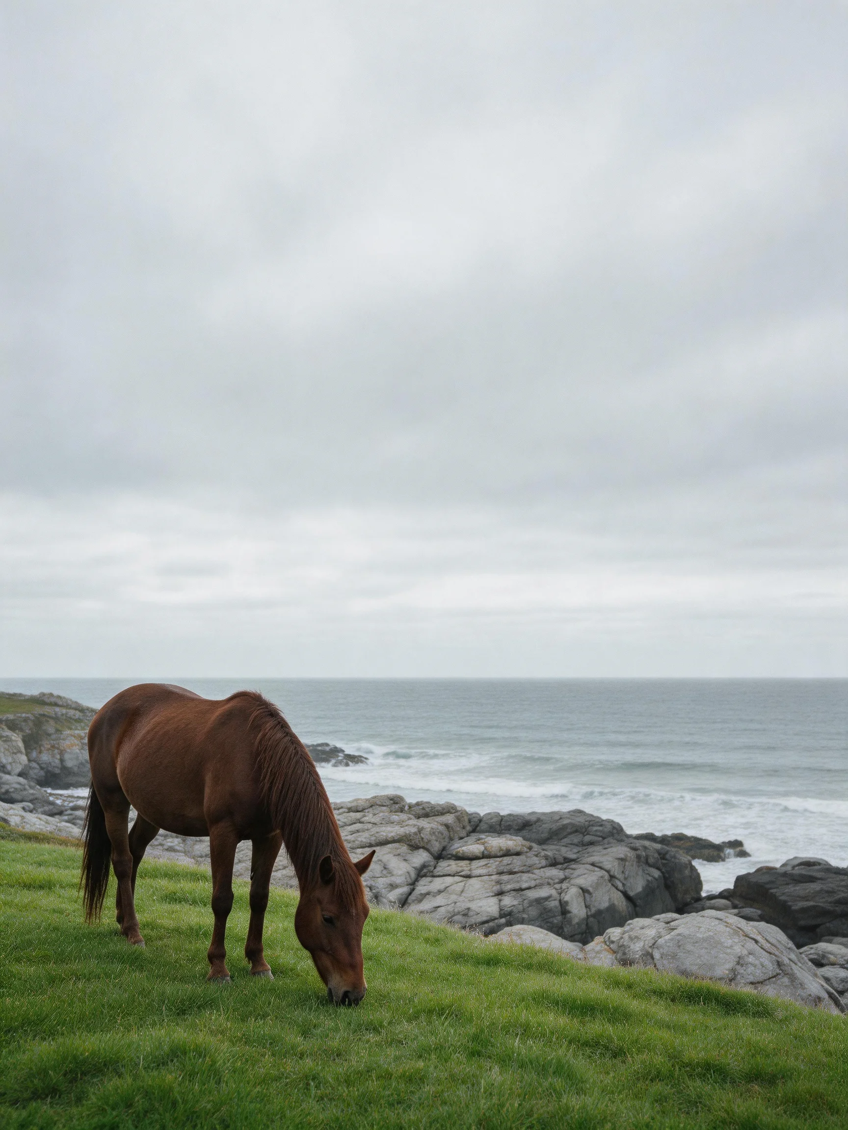 A brown horse grazes near rocky shores with green grass