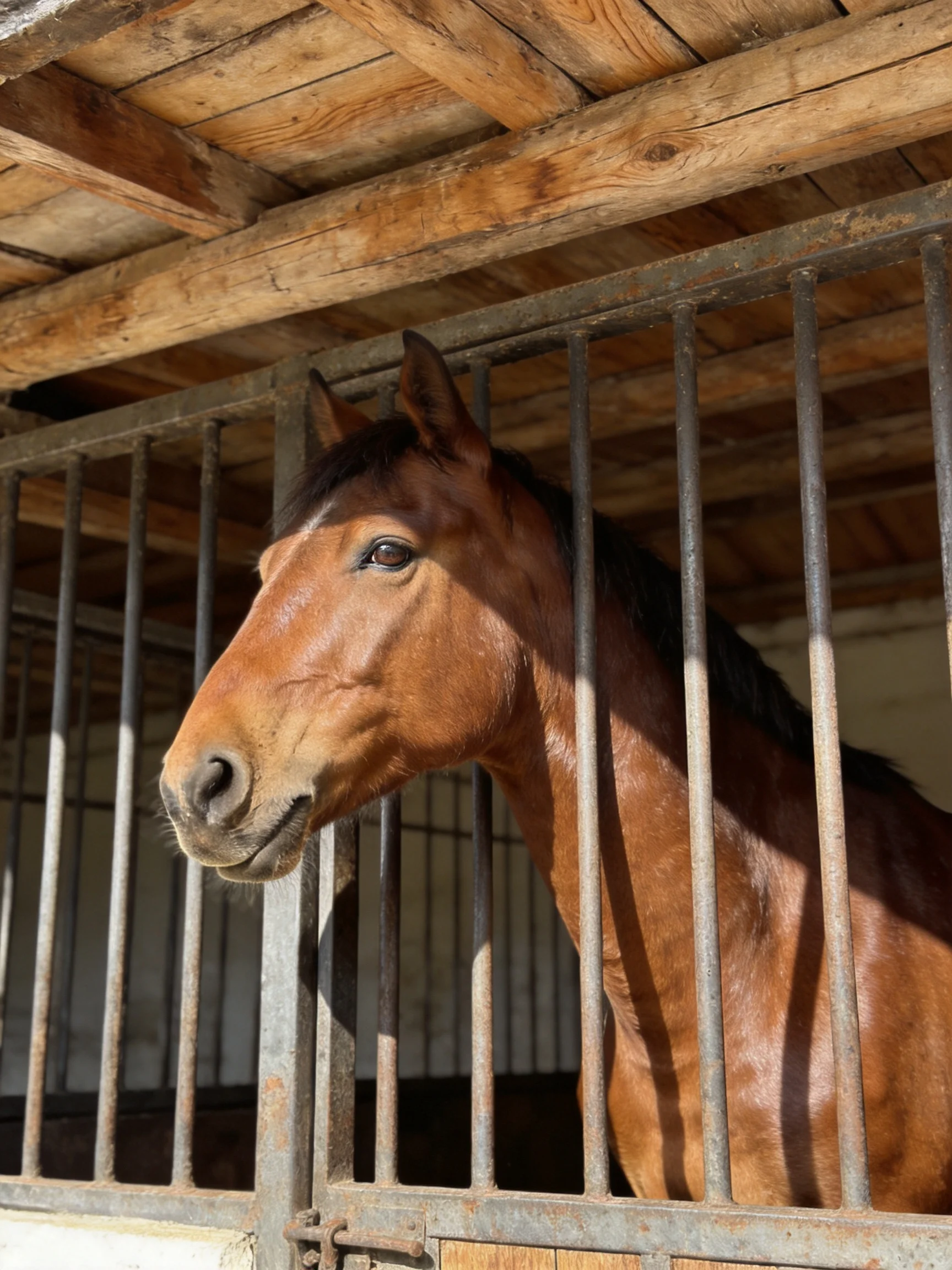 A chestnut horse stands behind metal bars in a rustic wooden stable