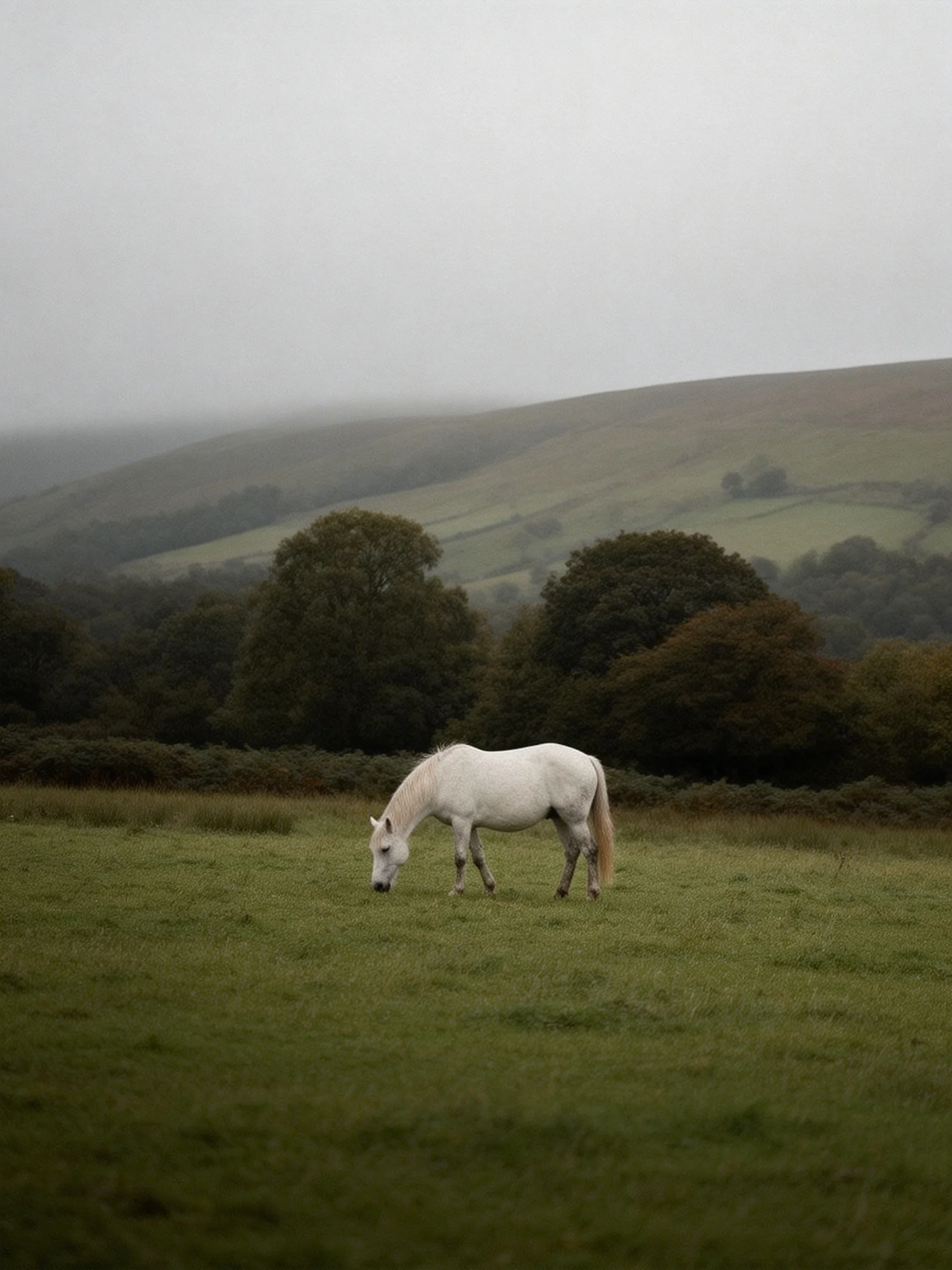 A single white horse grazes in a vast green pasture with misty hills