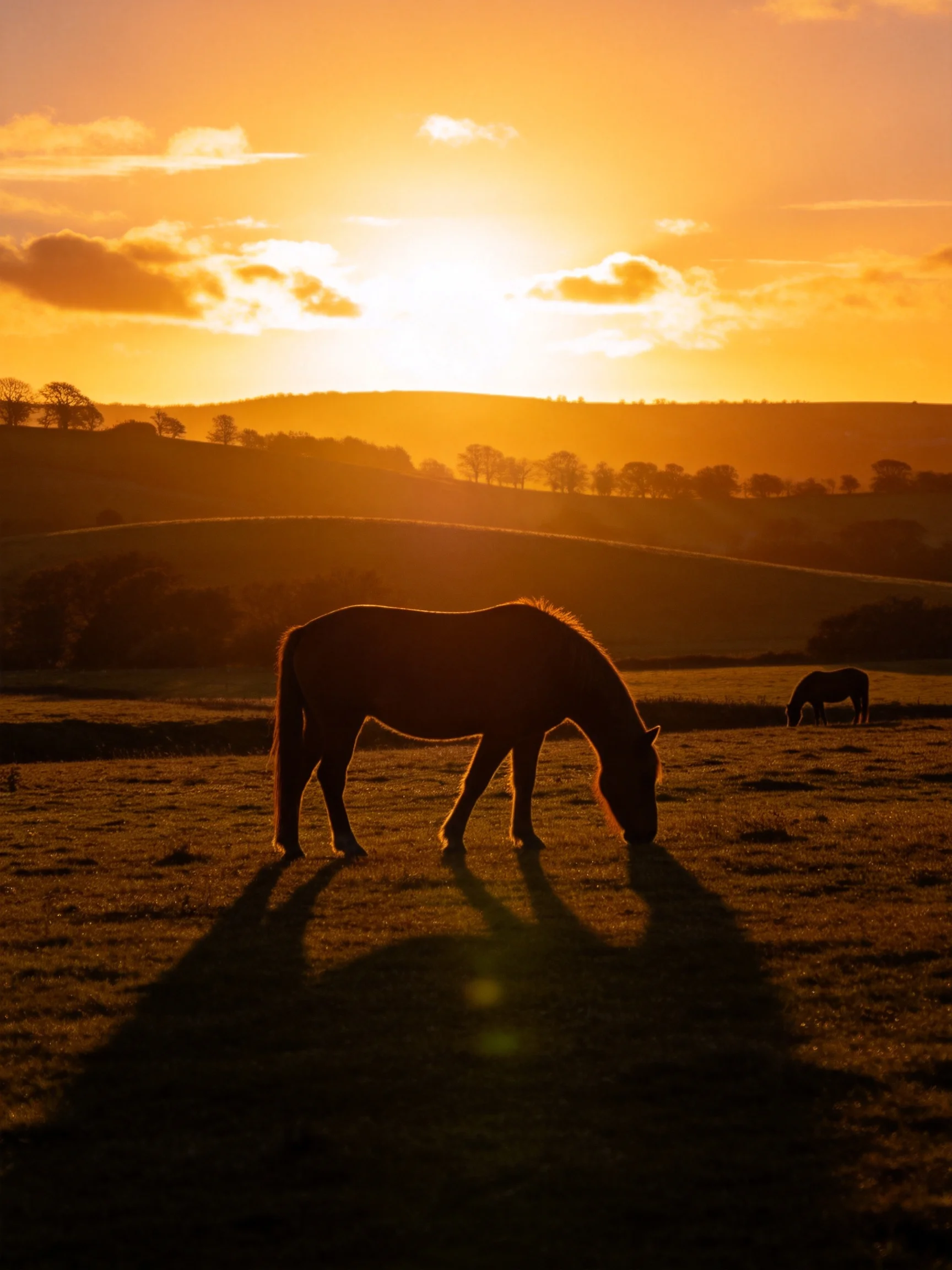 Silhouetted Horses Graze Under a Golden Sunset Over Rolling Hills