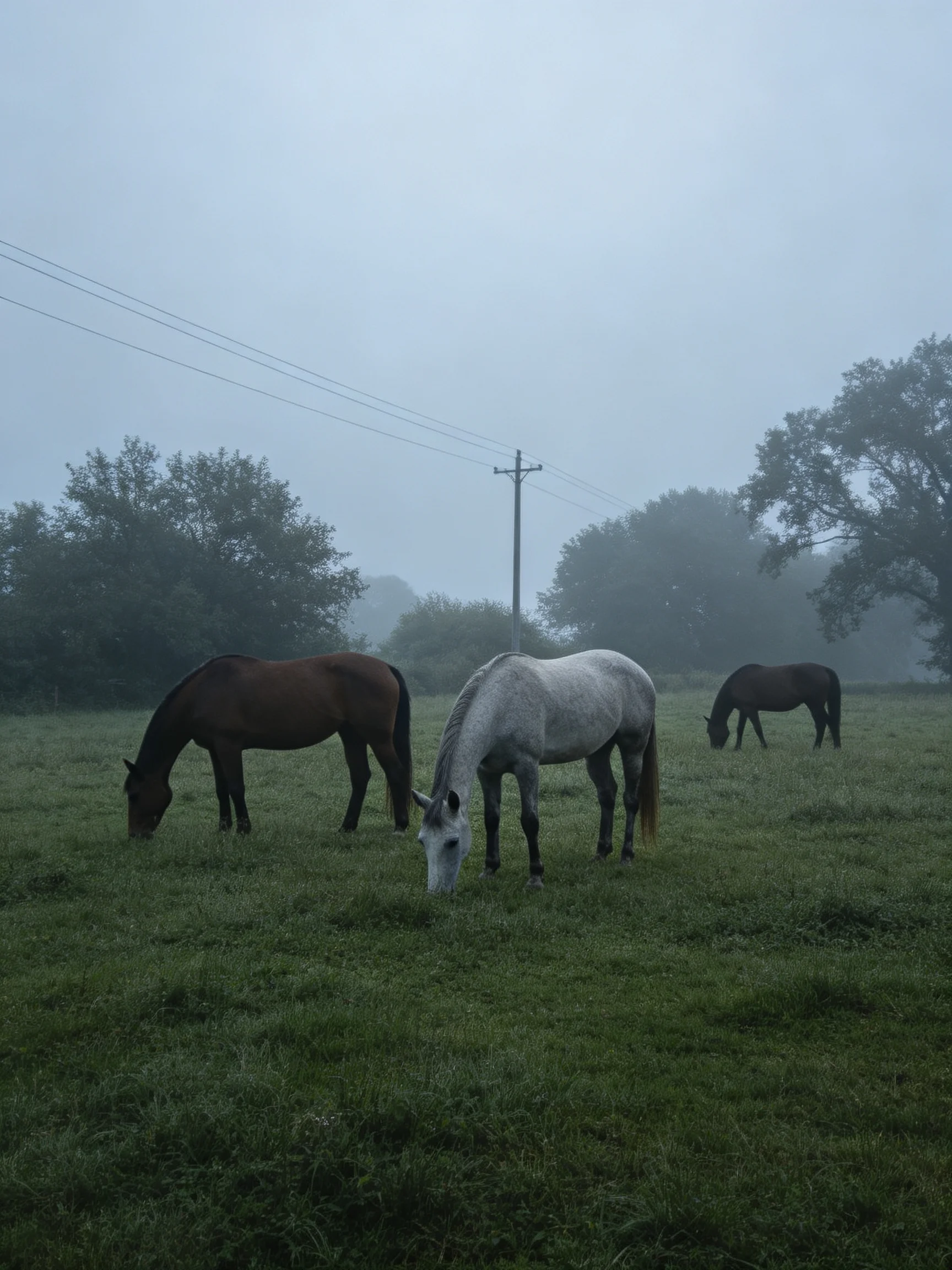 Three horses—brown, white, dark brown—graze in a foggy green pasture
