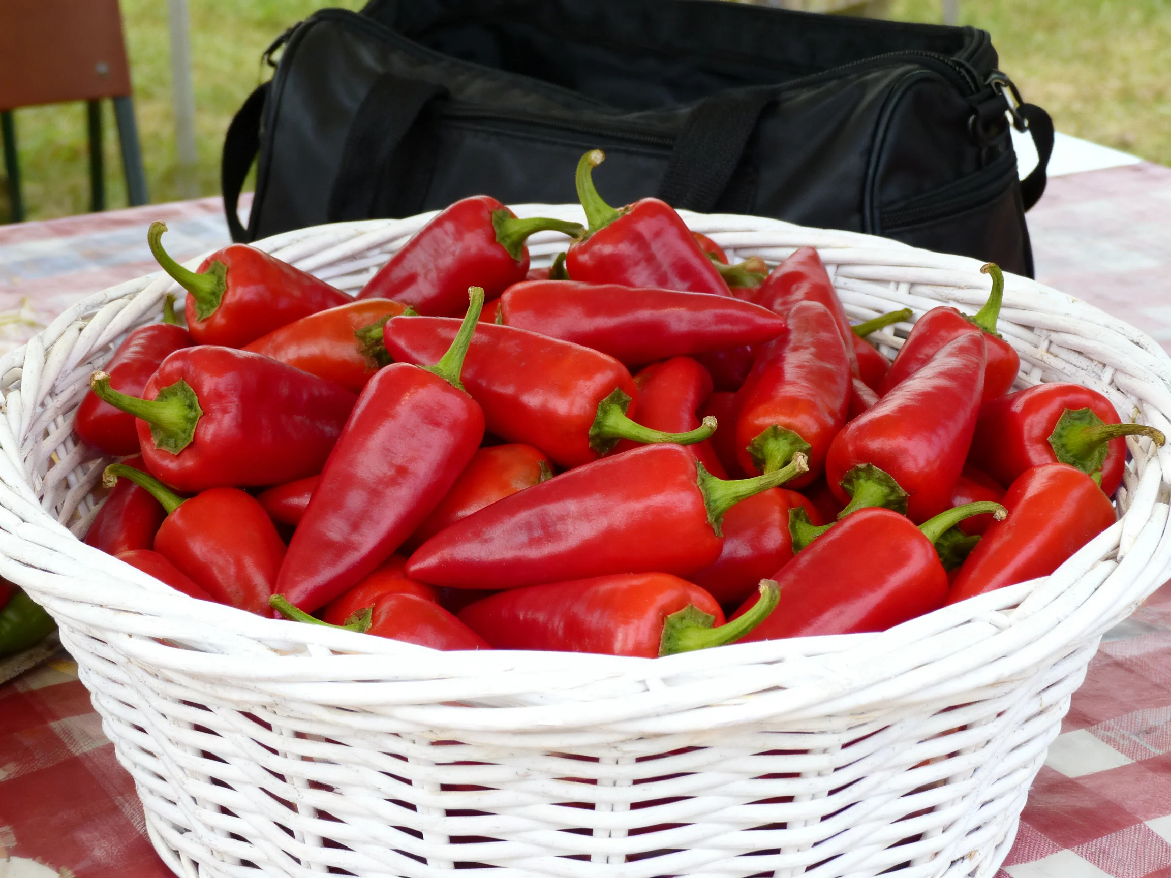 A basket of vibrant red peppers sits atop a checkered tablecloth