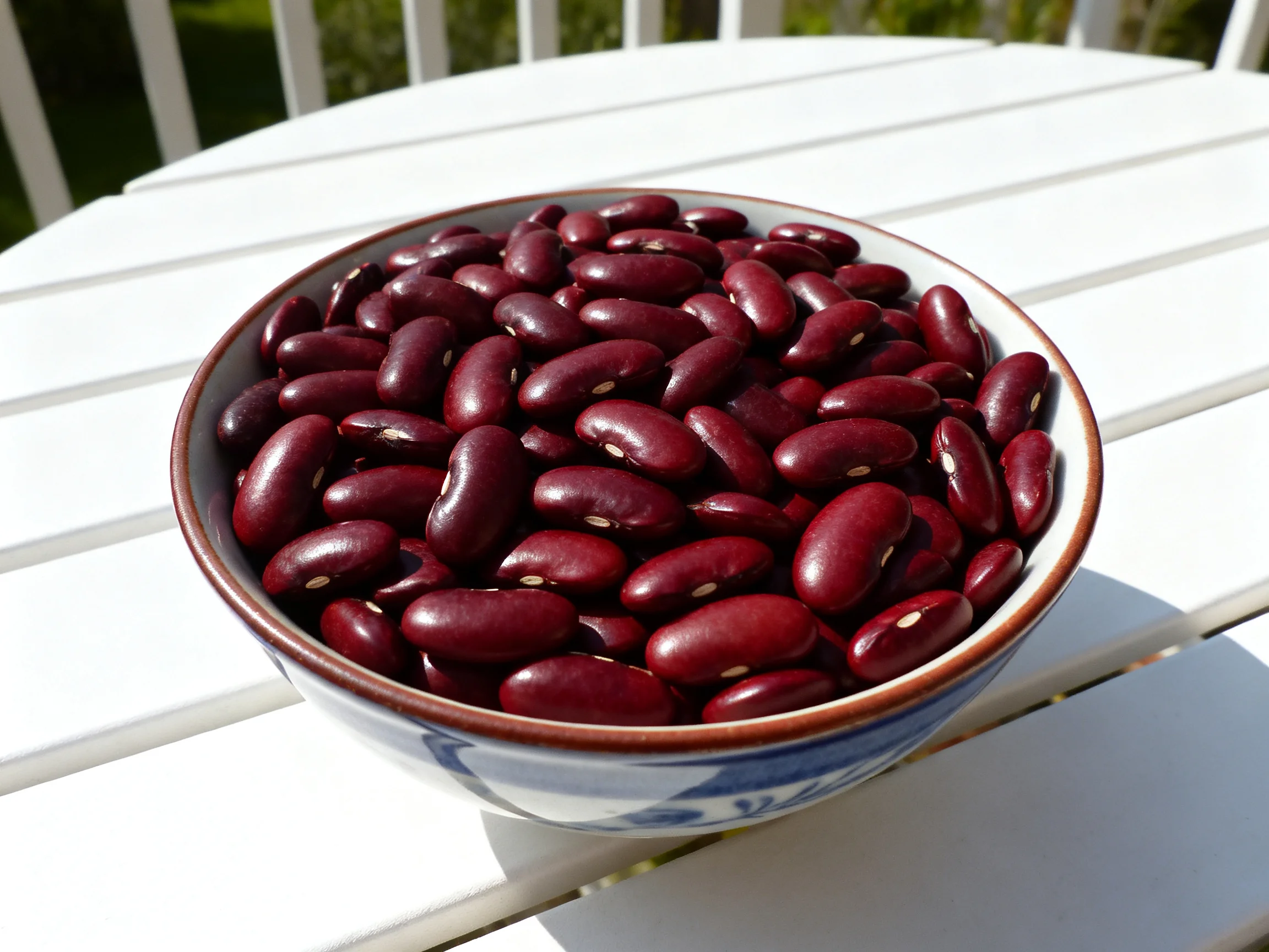 A bowl overflowing with glossy red kidney beans on a white patio table