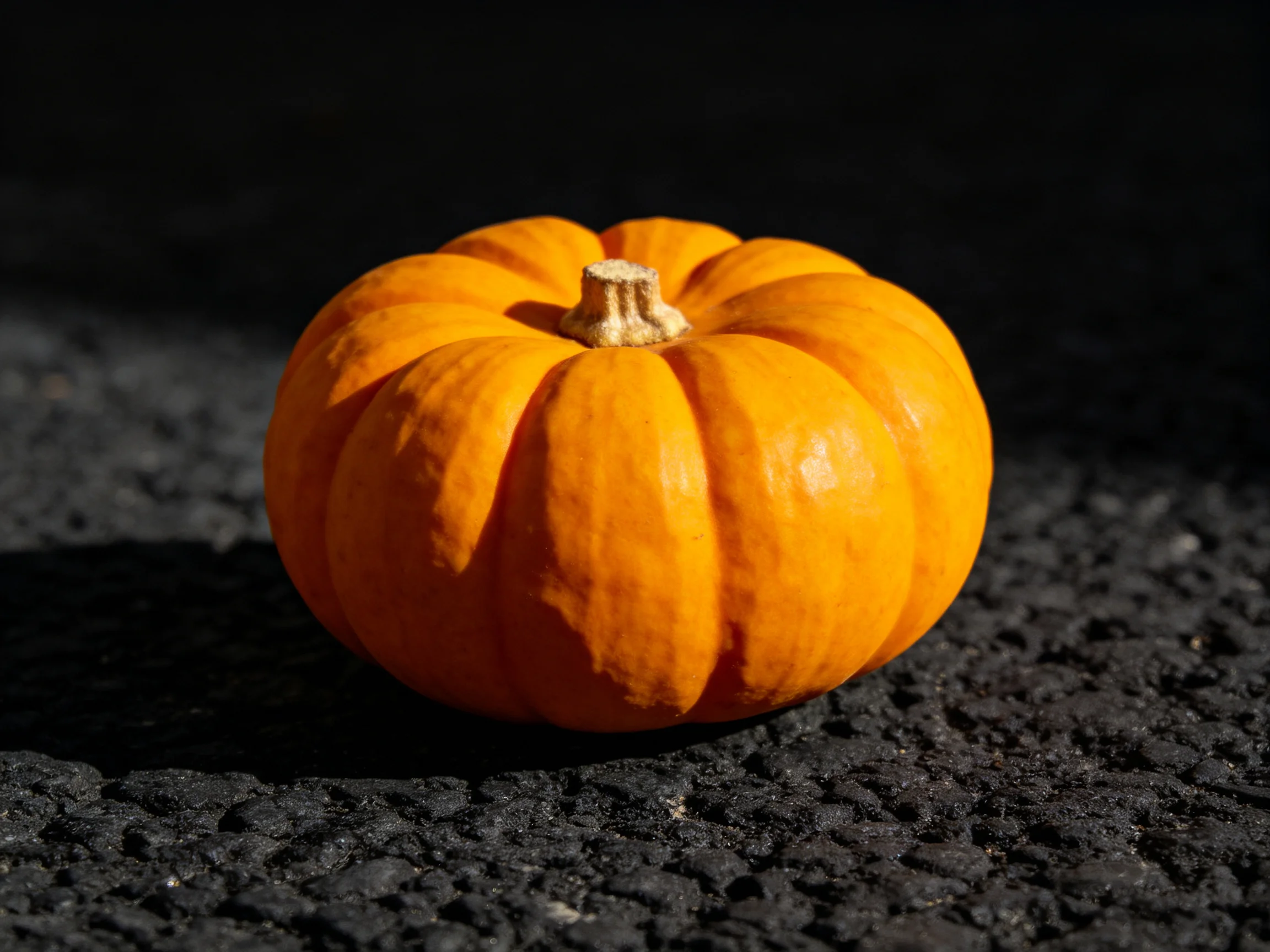 A bright orange pumpkin sits atop a dark, textured pavement
