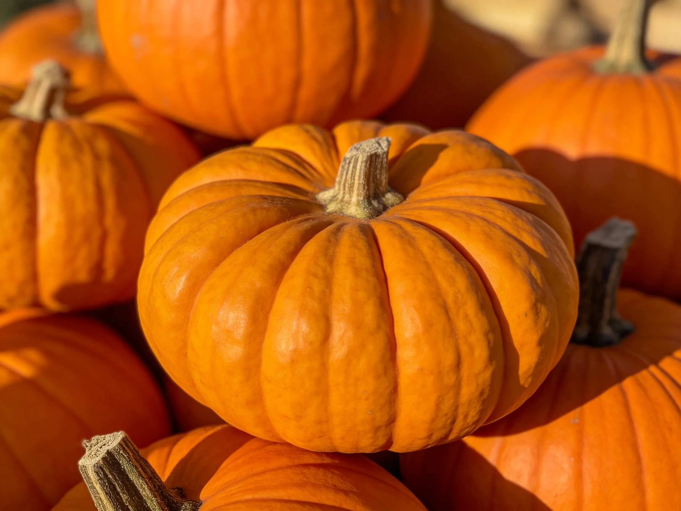 A cluster of bright orange pumpkins with varied sizes stacked together