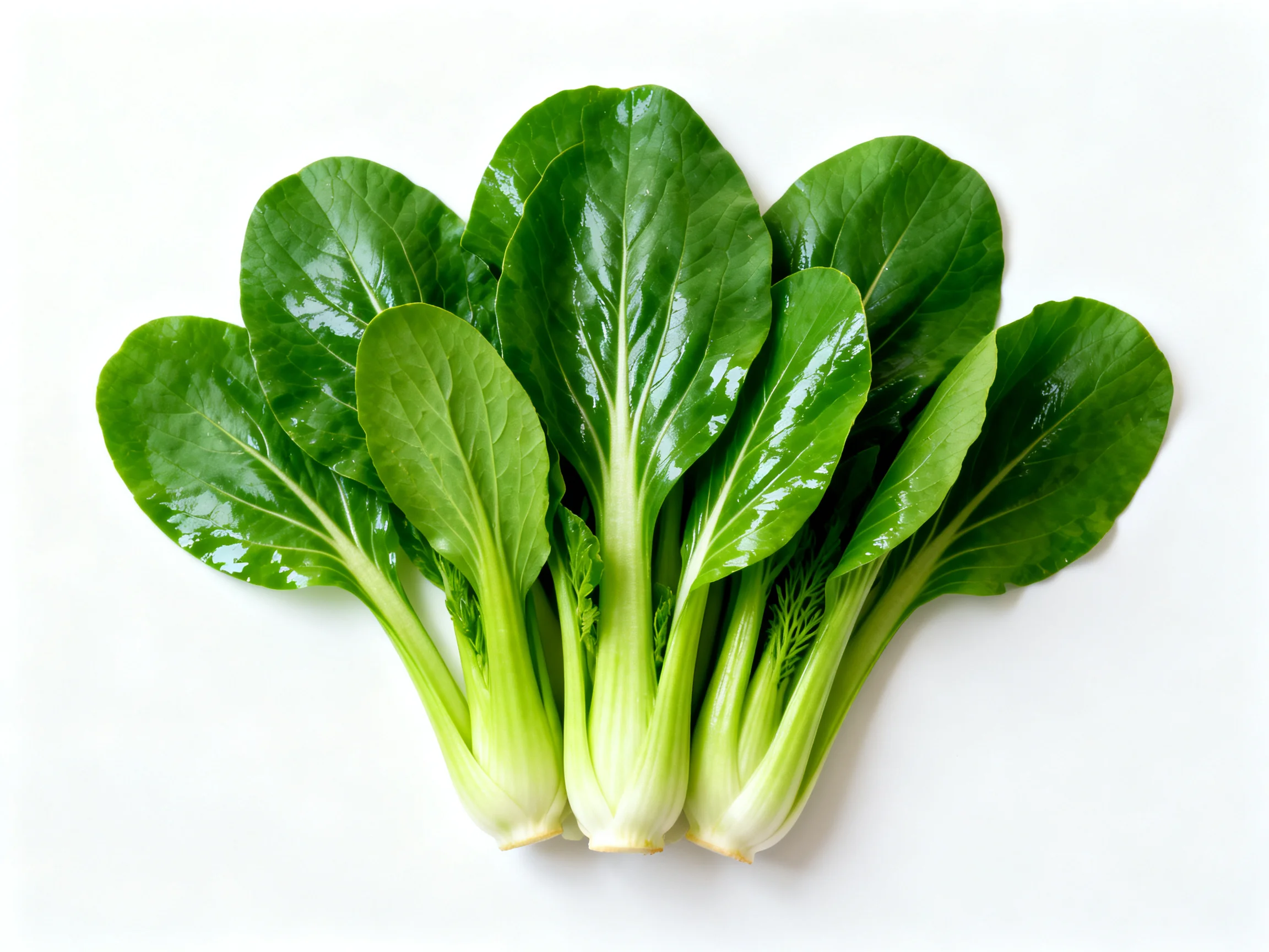 A cluster of fresh green leafy vegetables displayed against a white background