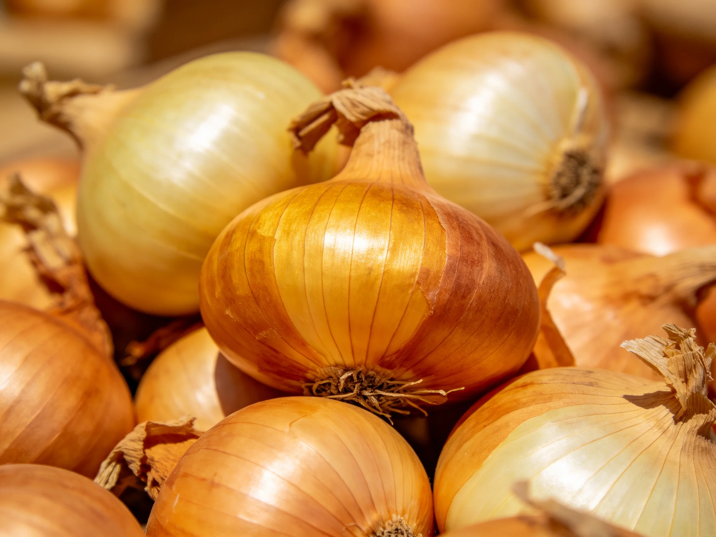 A cluster of golden-brown and cream-colored onions piled closely together