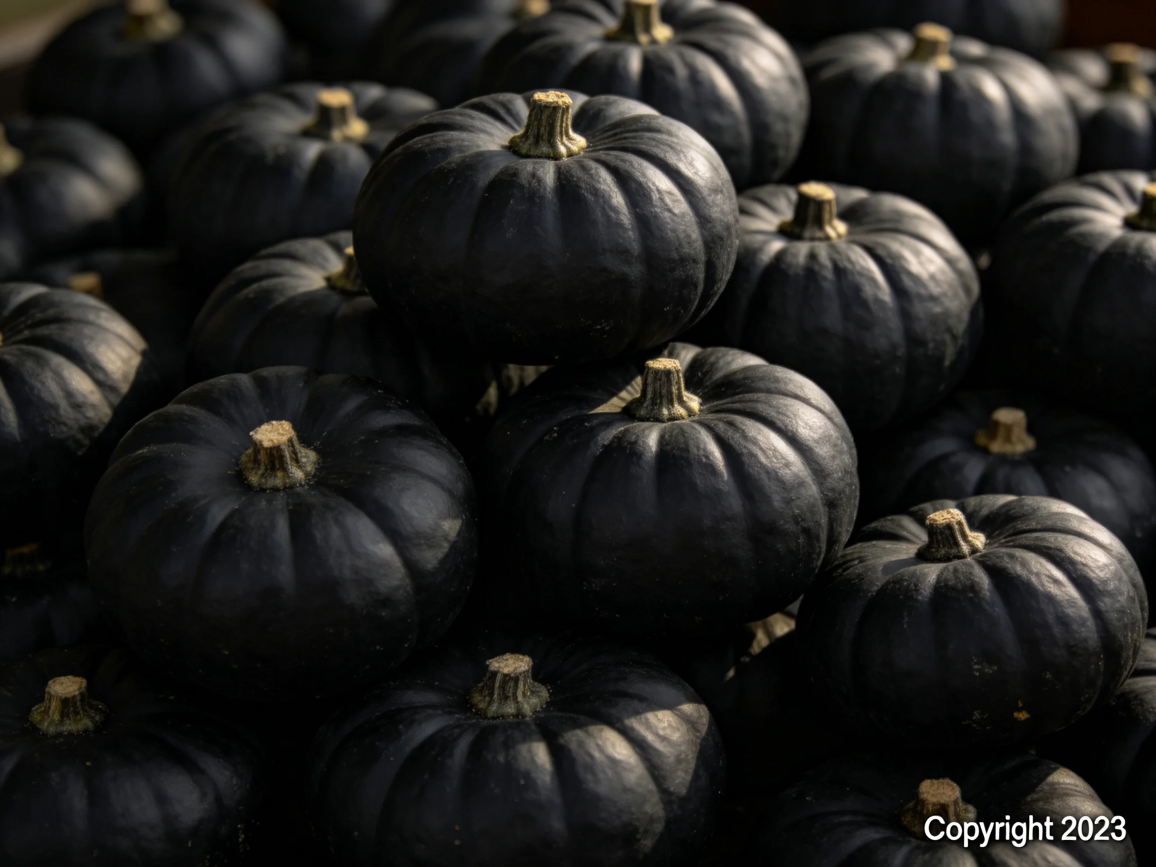 A dense arrangement of small, glossy black pumpkins stacked closely together