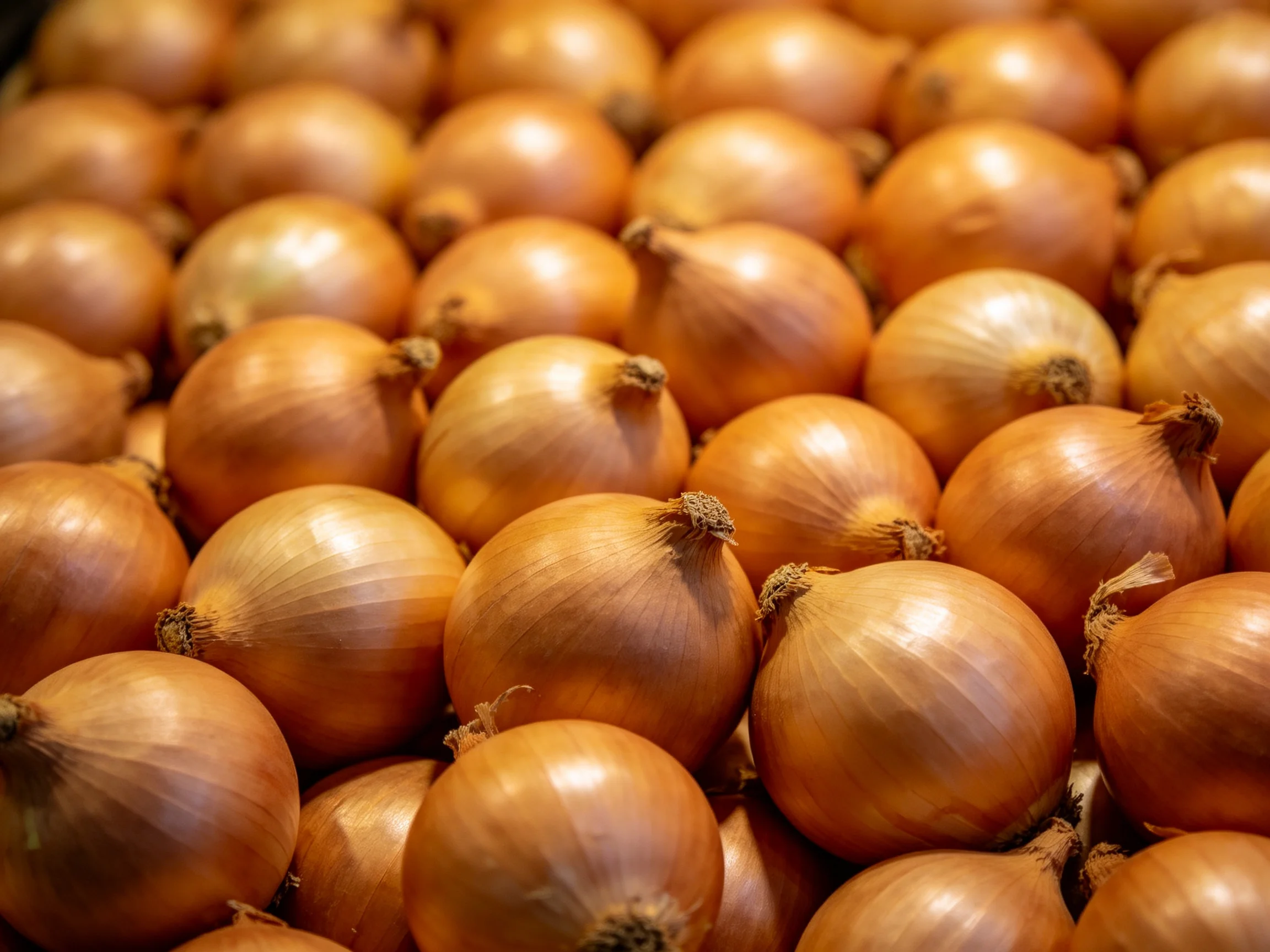 A densecluster of golden-brown onions displays glossy exteriors