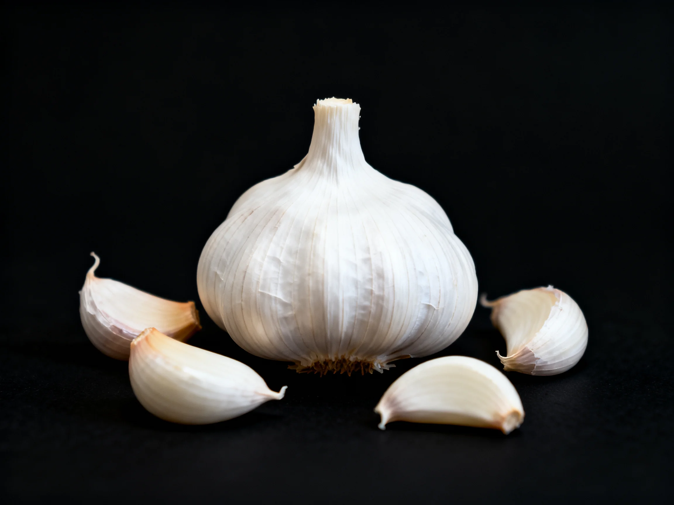 A garlic bulb with cloves displayed on a black surface