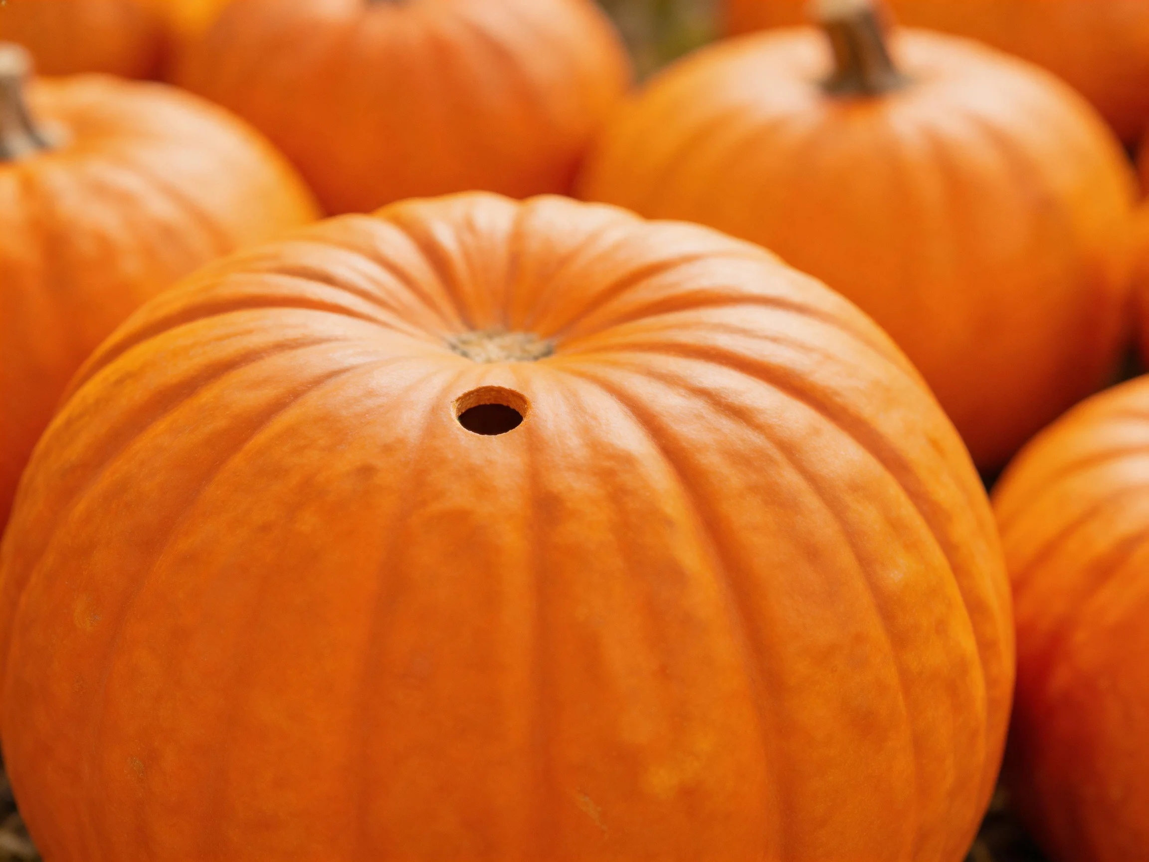 A group of vibrant orange pumpkins with one featuring a central hole