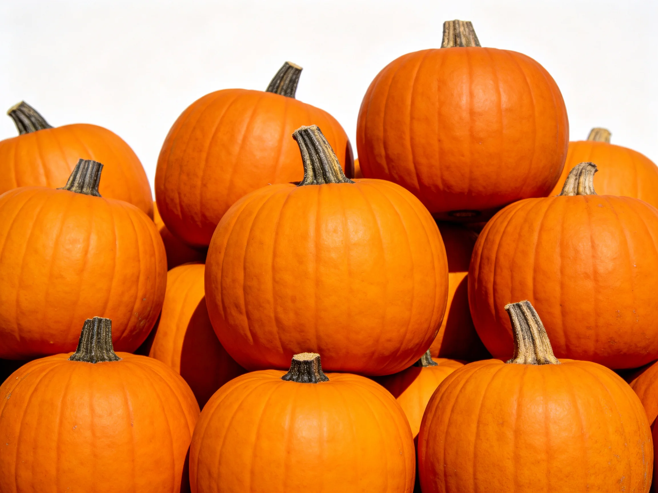 Bright orange pumpkins form a close, dense arrangement.