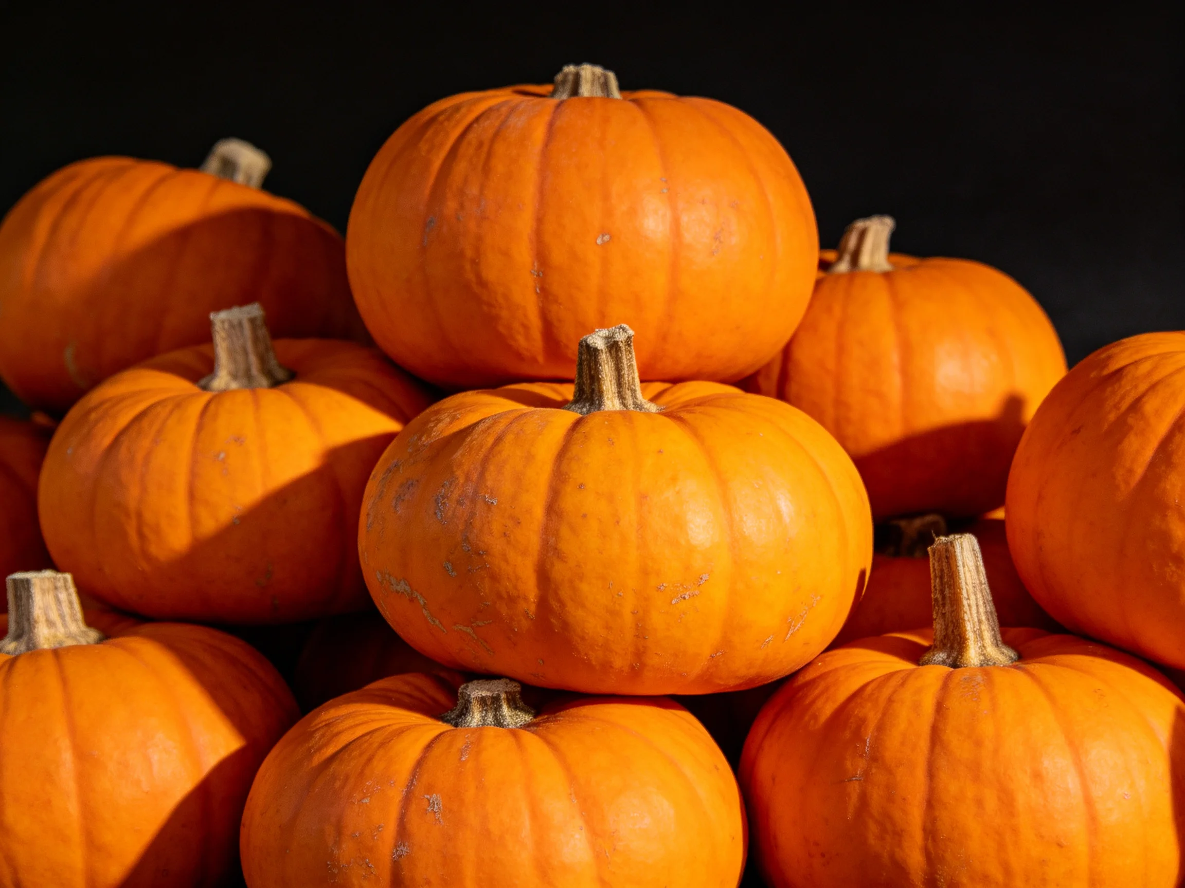 A large group of bright orange pumpkins stacked densely together