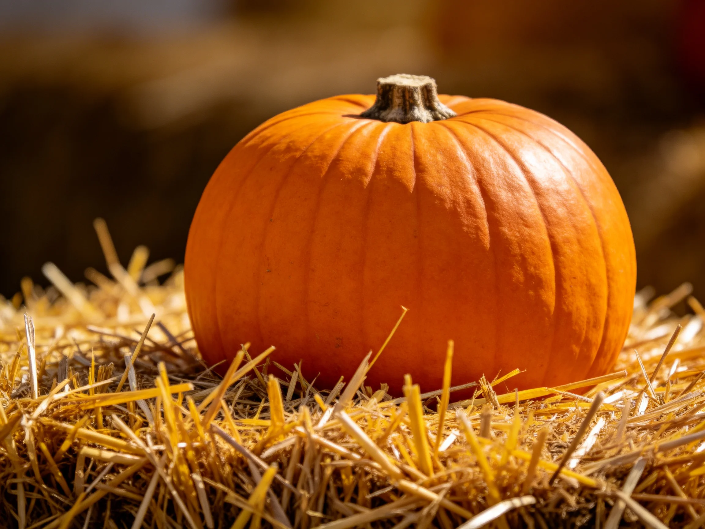 A large orange pumpkin sits atop golden straw bales