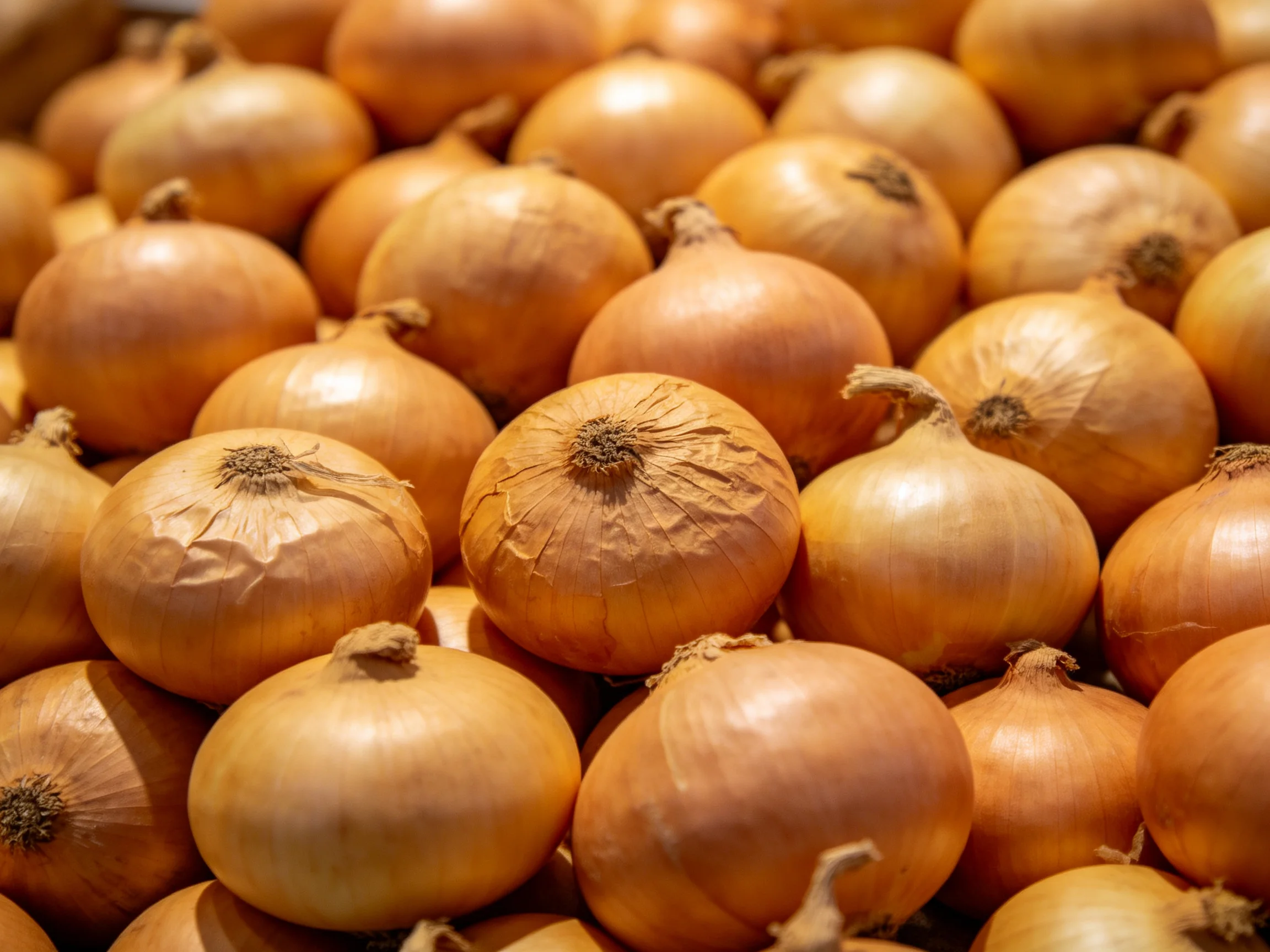 A large pile of golden-brown onions stacked closely together