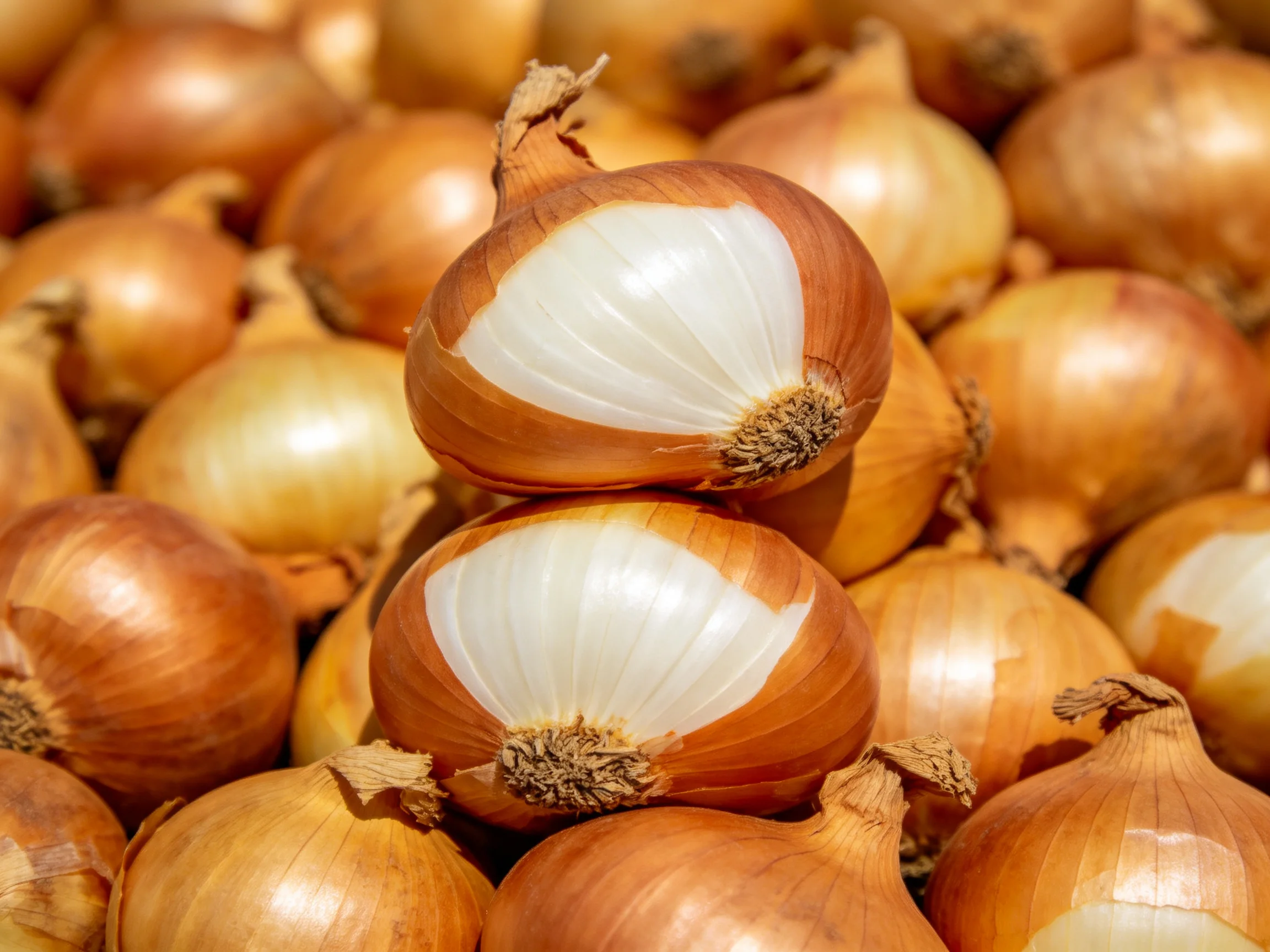 A large pile of golden-brown onions with two bulbs cut open