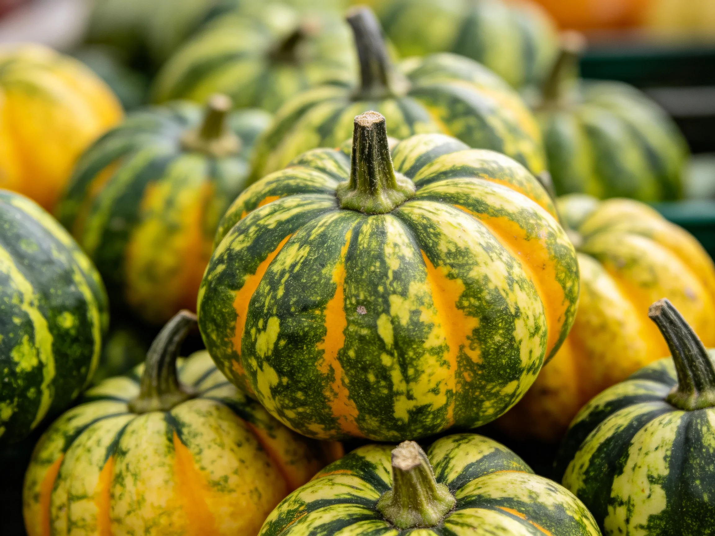 A pile of small striped green and yellow pumpkins stacked together