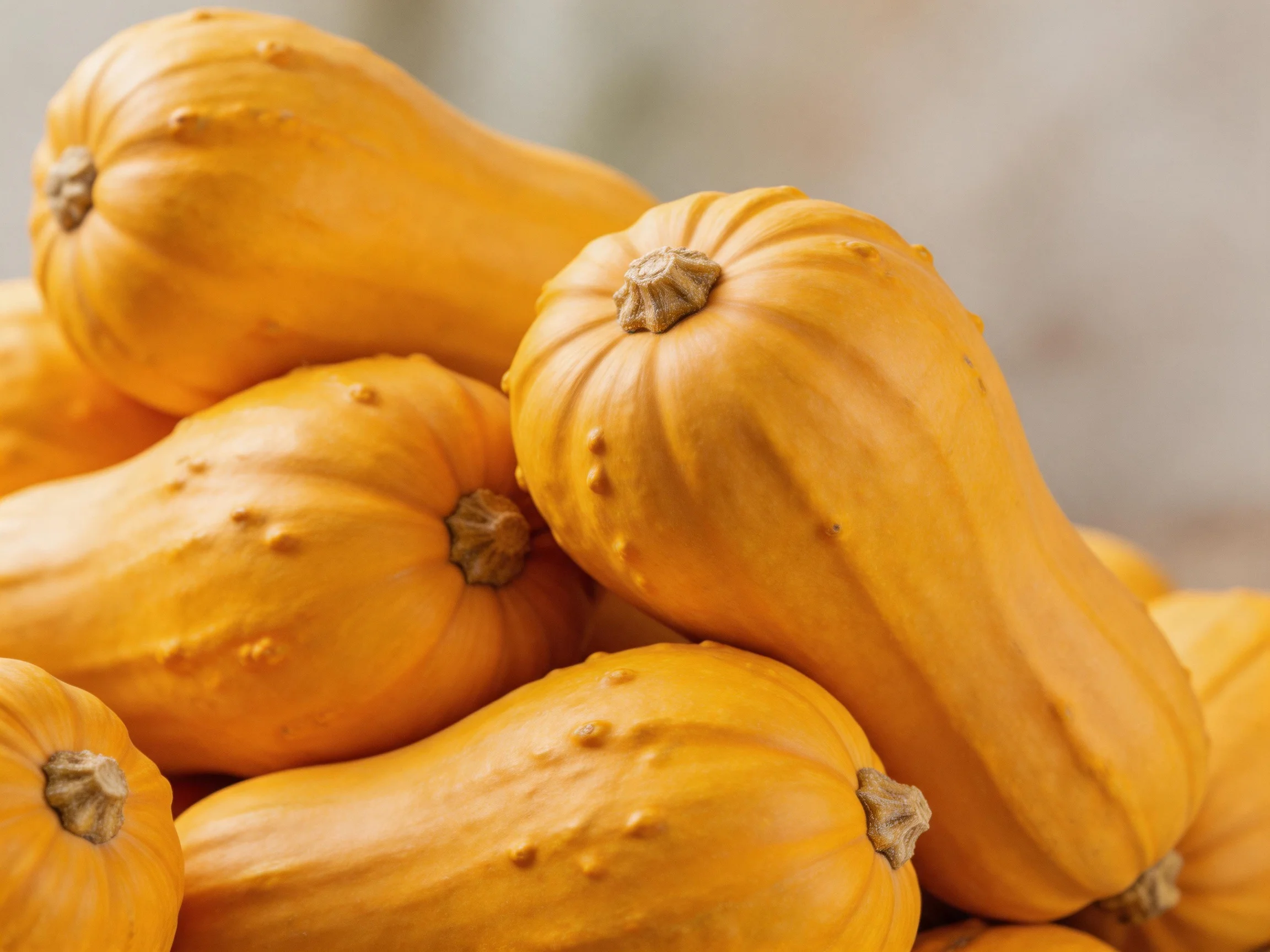 A pile of vibrant orange butternut squashes arranged closely together