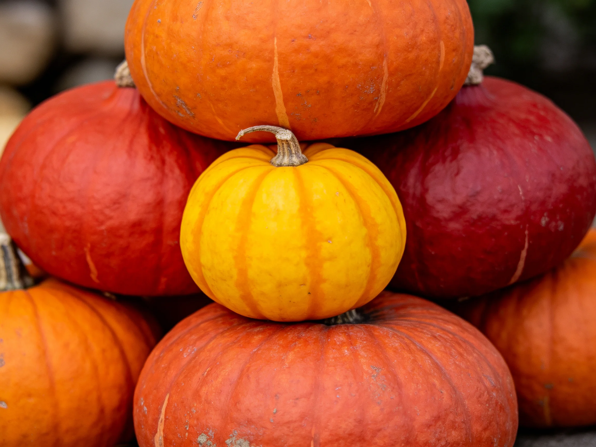 A pyramid of colorful pumpkins in orange, red, and yellow hues