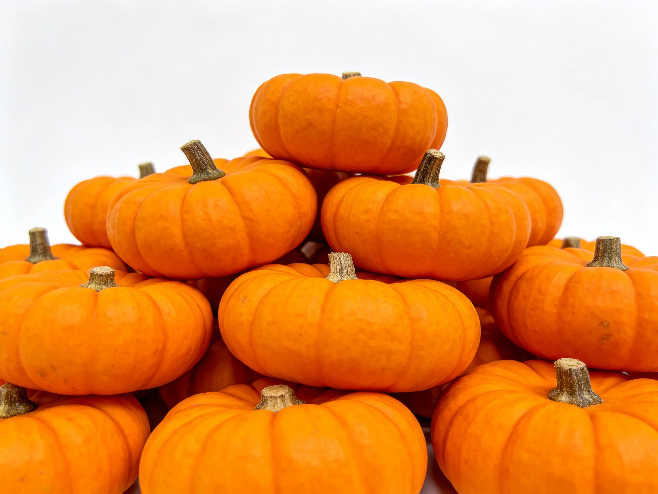 A pyramid of small orange pumpkins stacked densely together