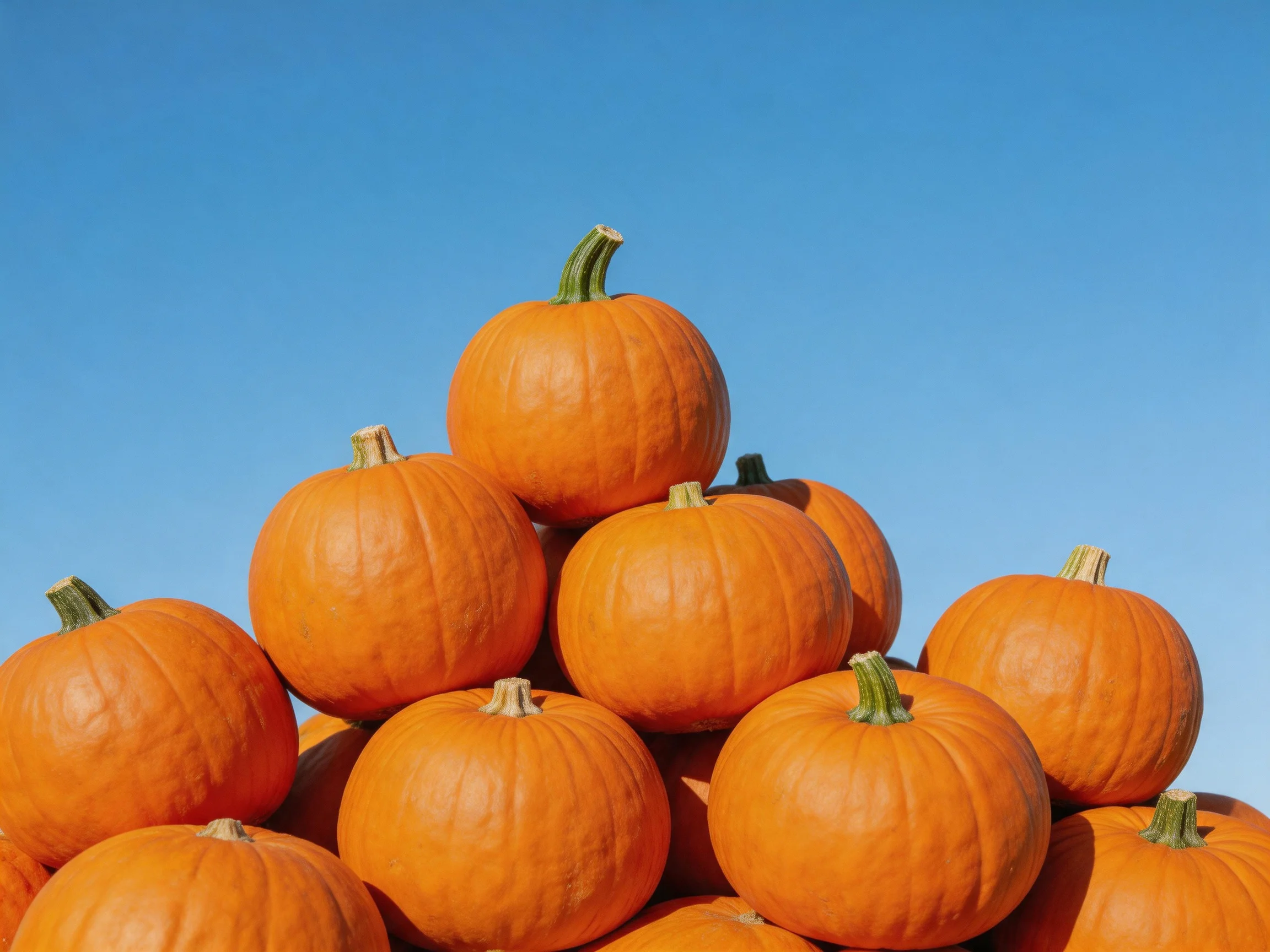 A pyramid of vibrant orange pumpkins against a clear blue sky