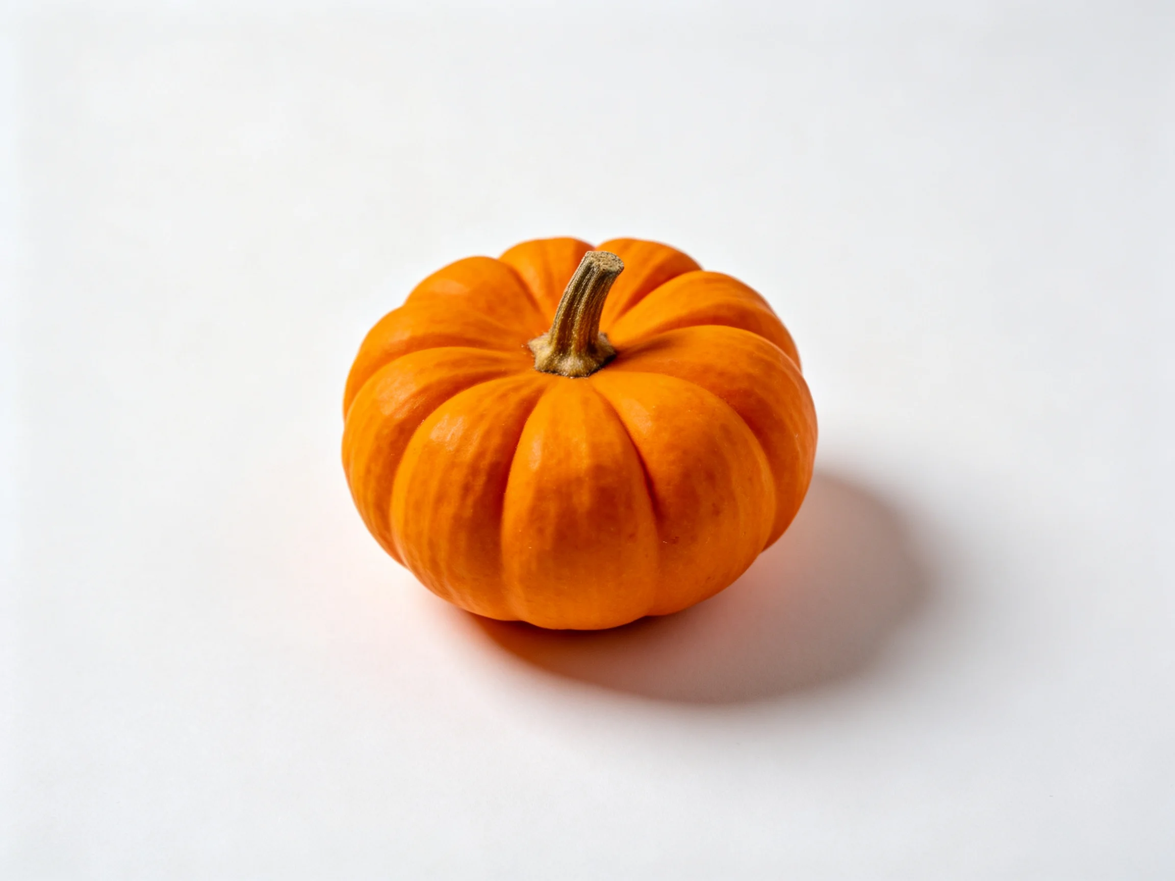 A single bright orange pumpkin centered on a plain white surface