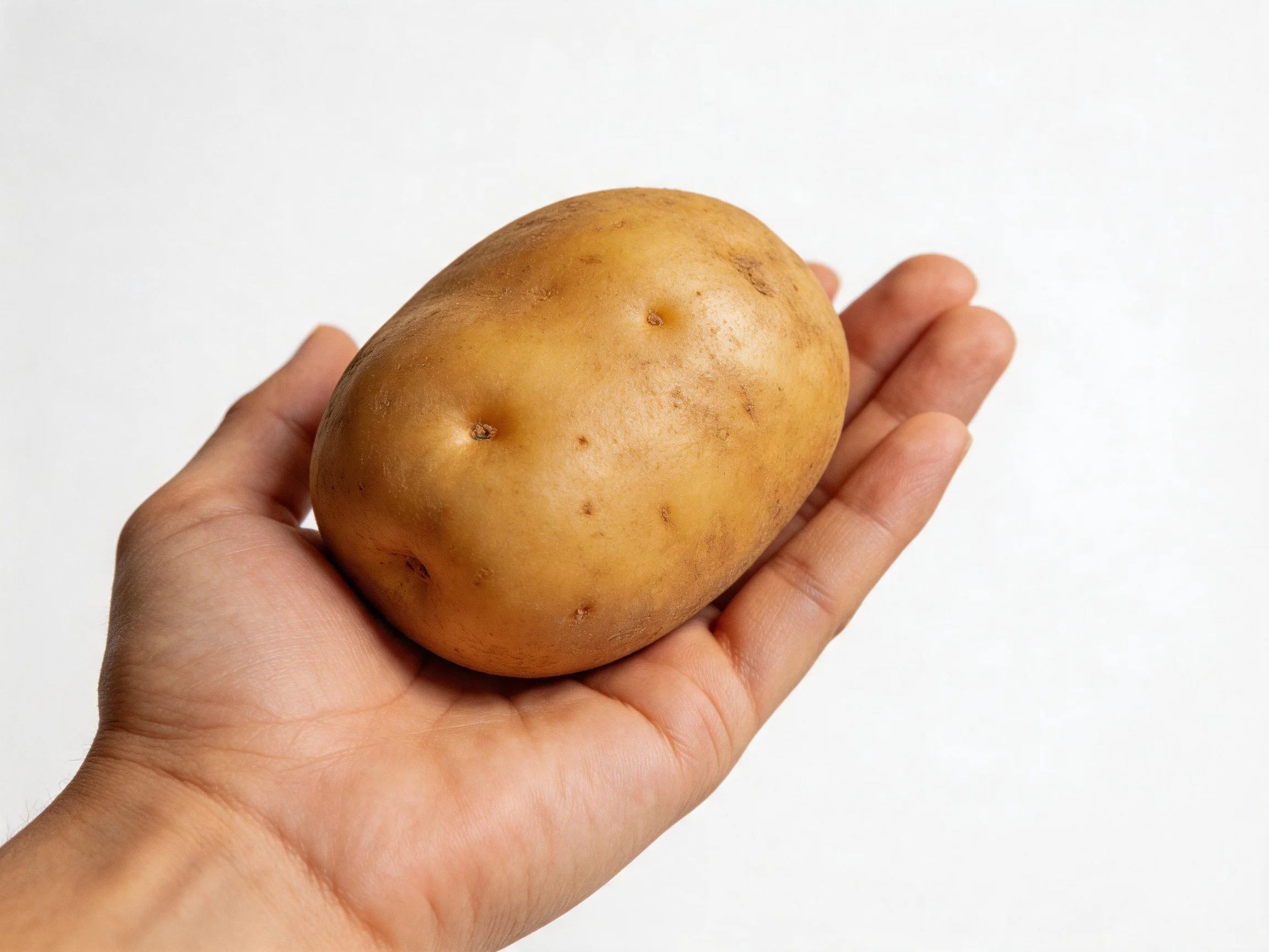 A single brown potato held in an open human hand against a plain white background