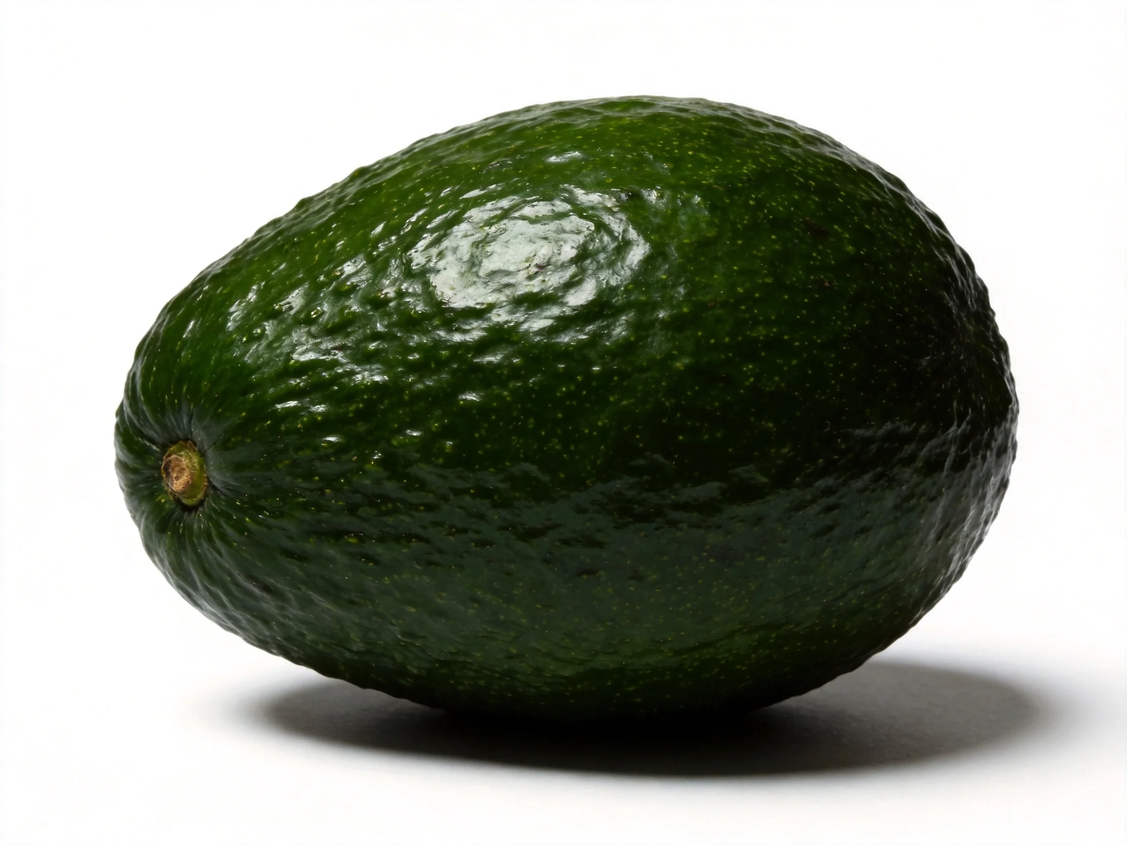 A single dark green avocado with bumpy textured skin