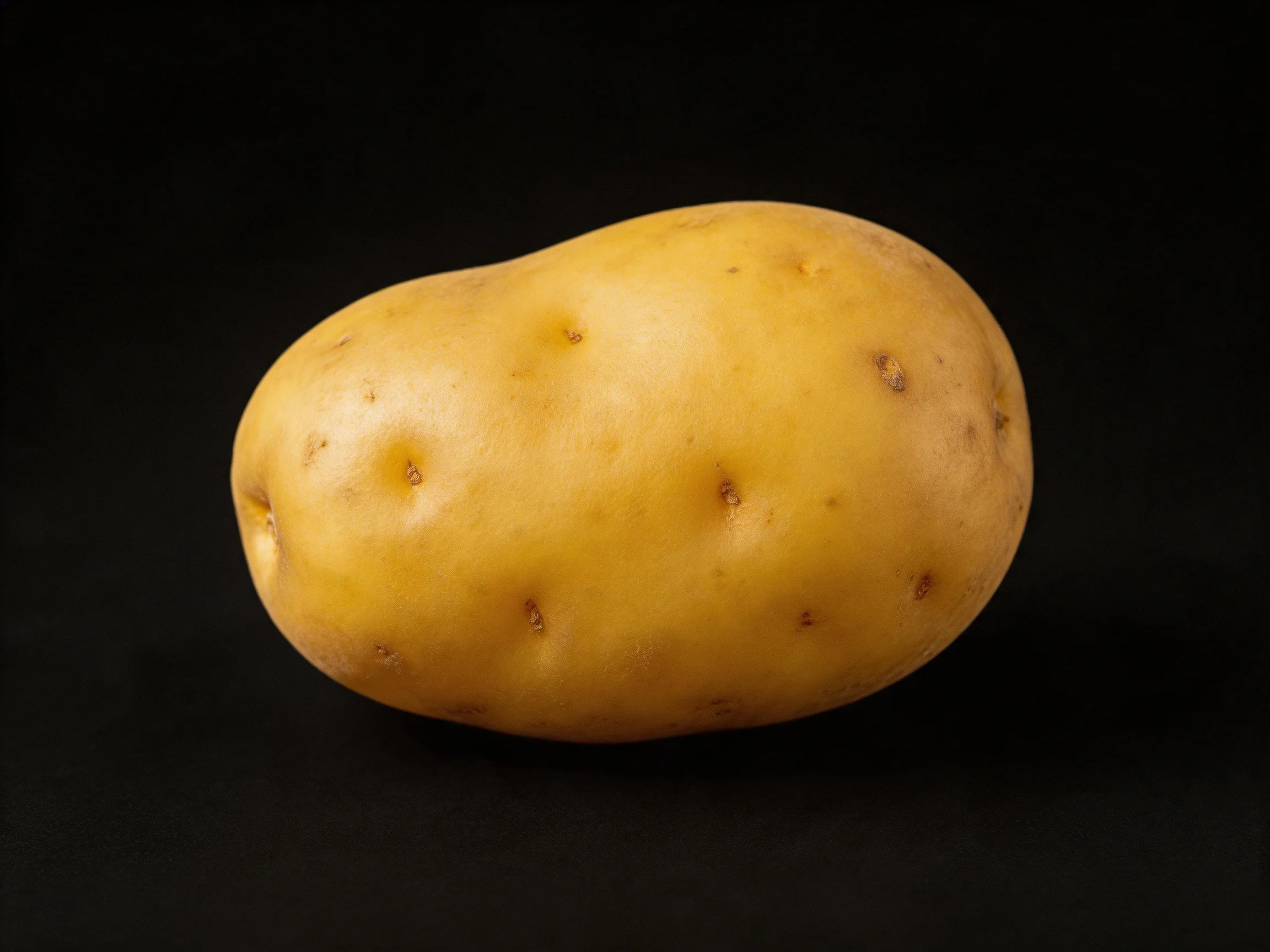 A single golden-yellow potato with scattered brown spots on a solid black background