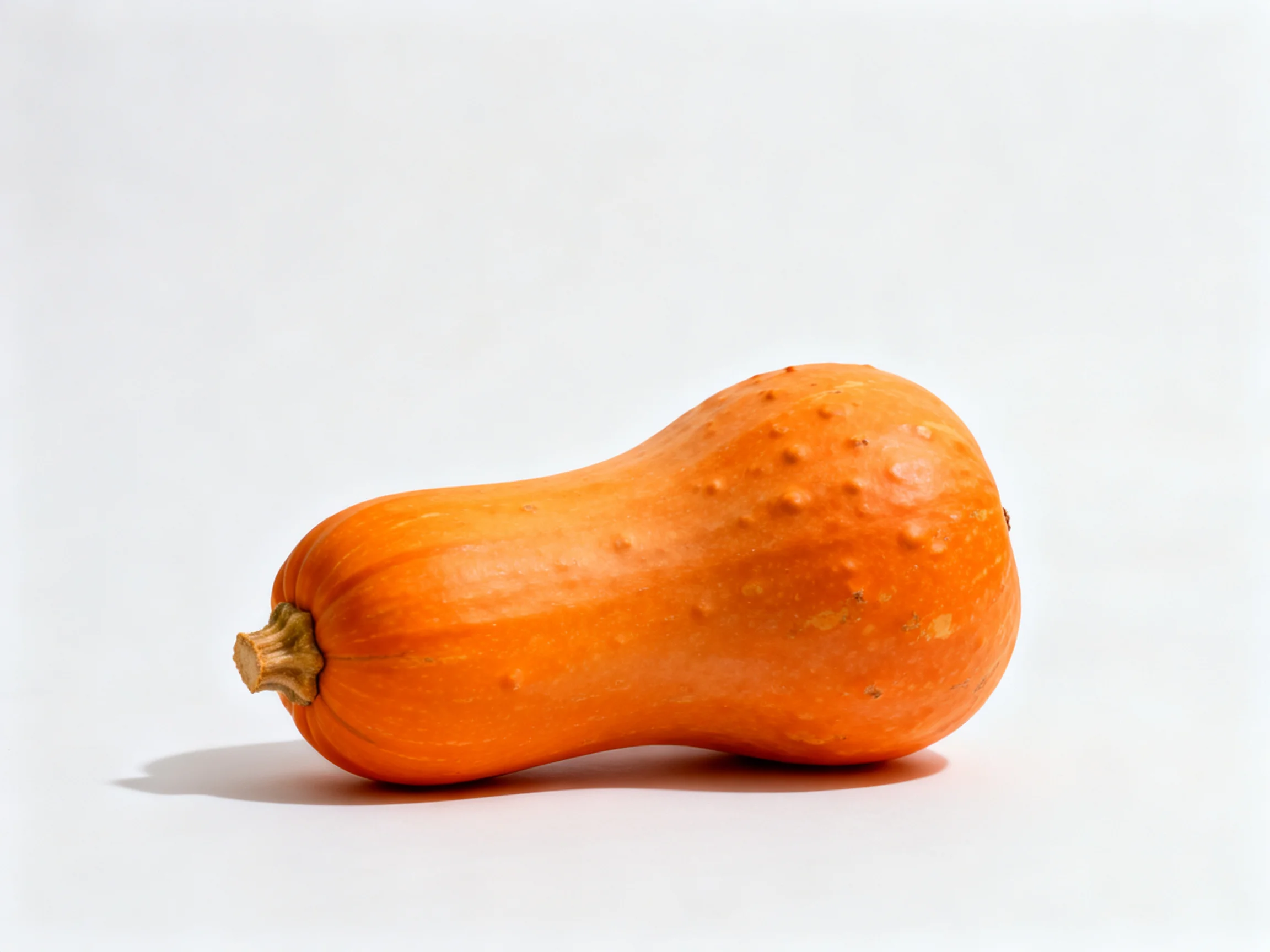 A single orange butternut squash rests on a plain white surface